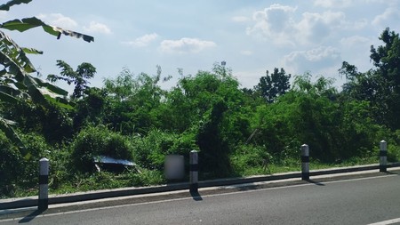 Tanah 2662 Meter Persegi Dekat Perum Bale Mulia Sinduadi Mlati Sleman