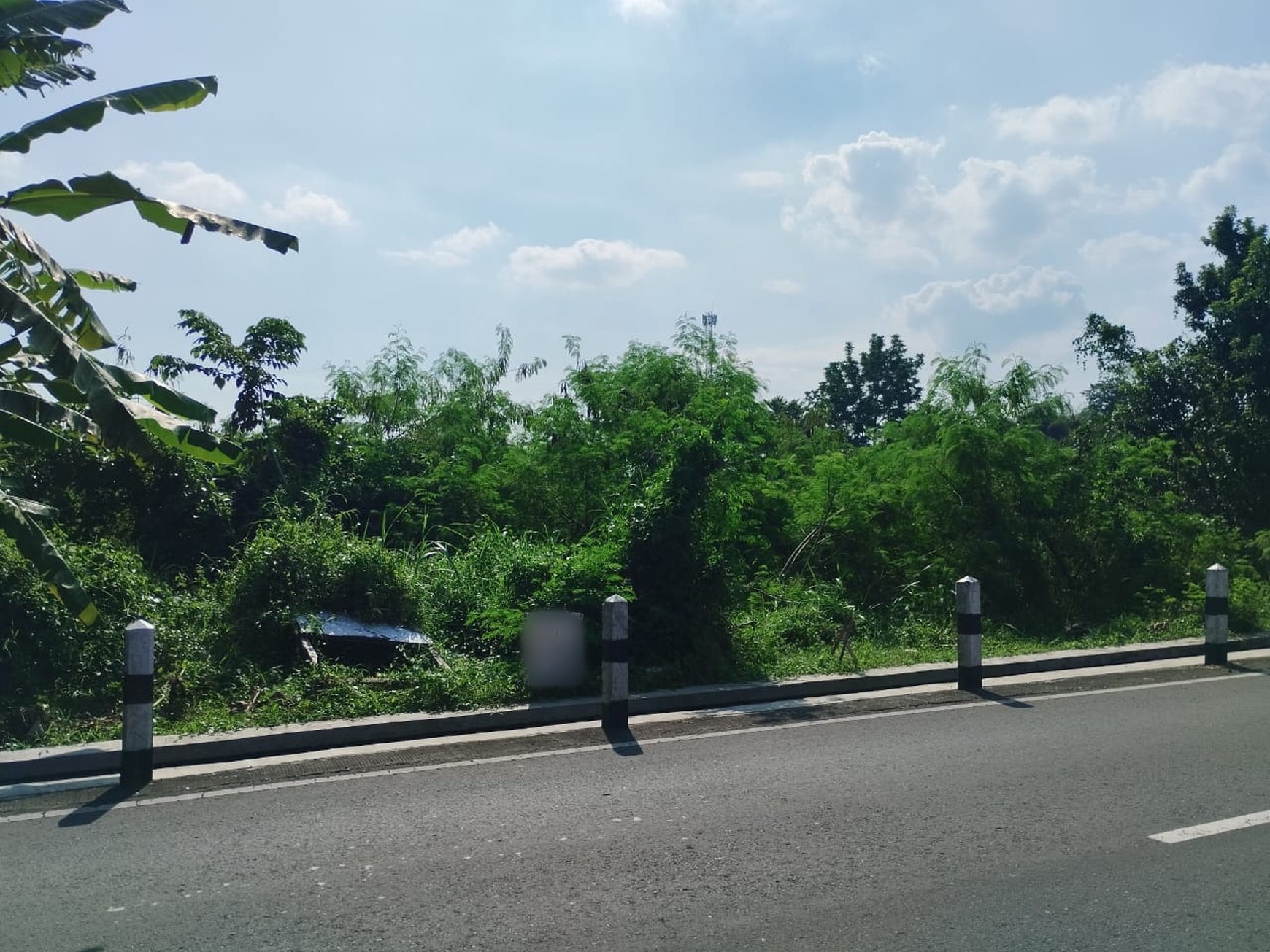 Tanah 2662 Meter Persegi Dekat Perum Bale Mulia Sinduadi Mlati Sleman