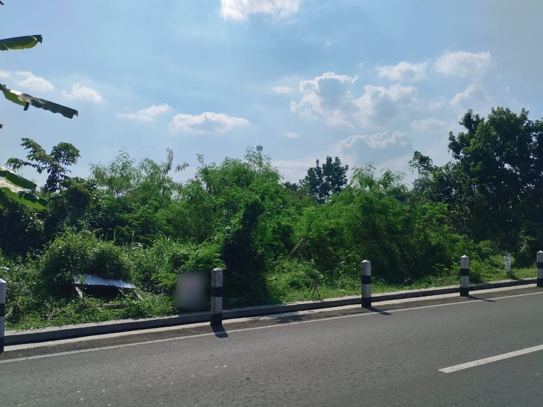 Tanah 2662 Meter Persegi Dekat Perum Bale Mulia Sinduadi Mlati Sleman