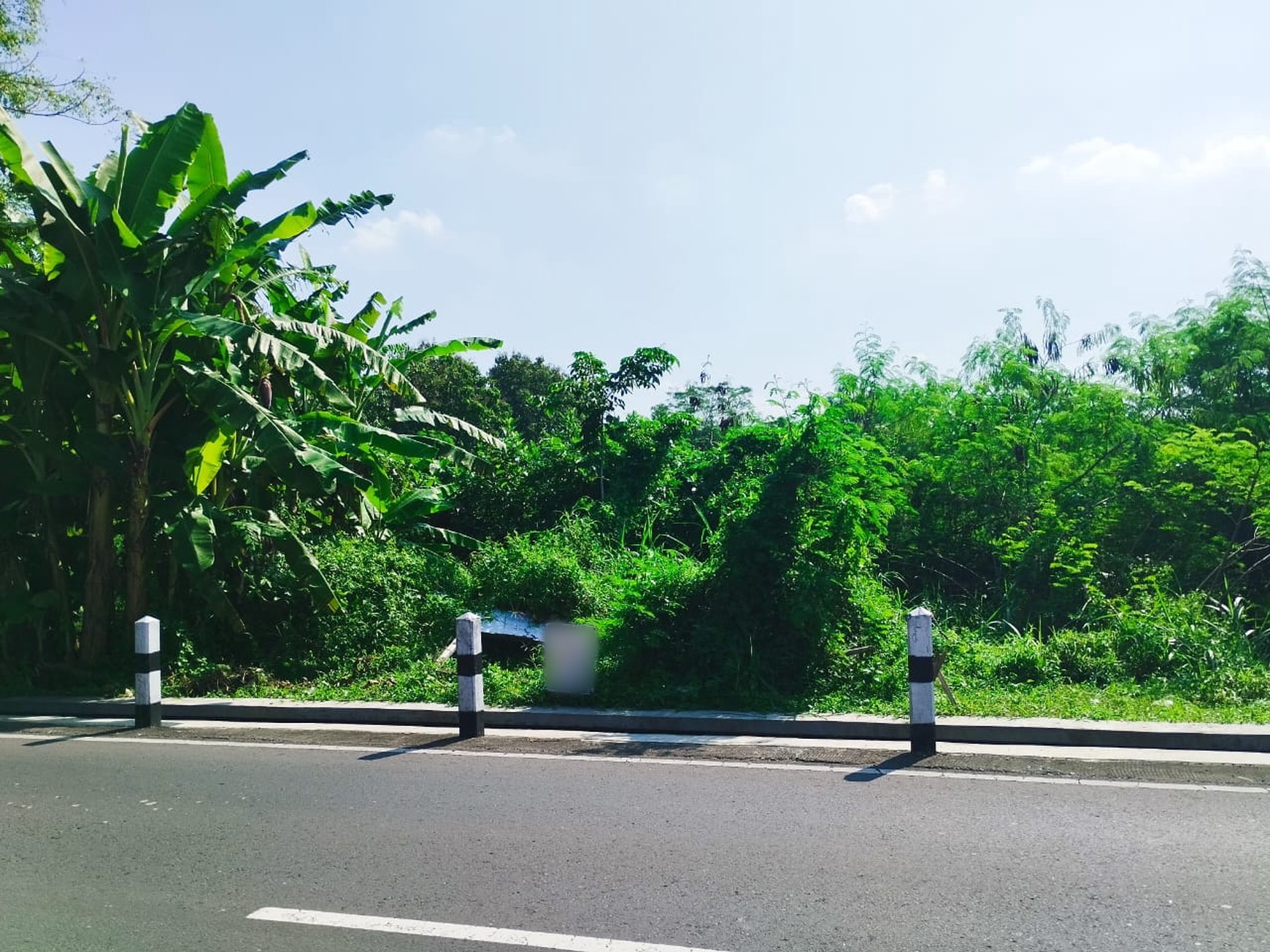 Tanah 2662 Meter Persegi Dekat Perum Bale Mulia Sinduadi Mlati Sleman
