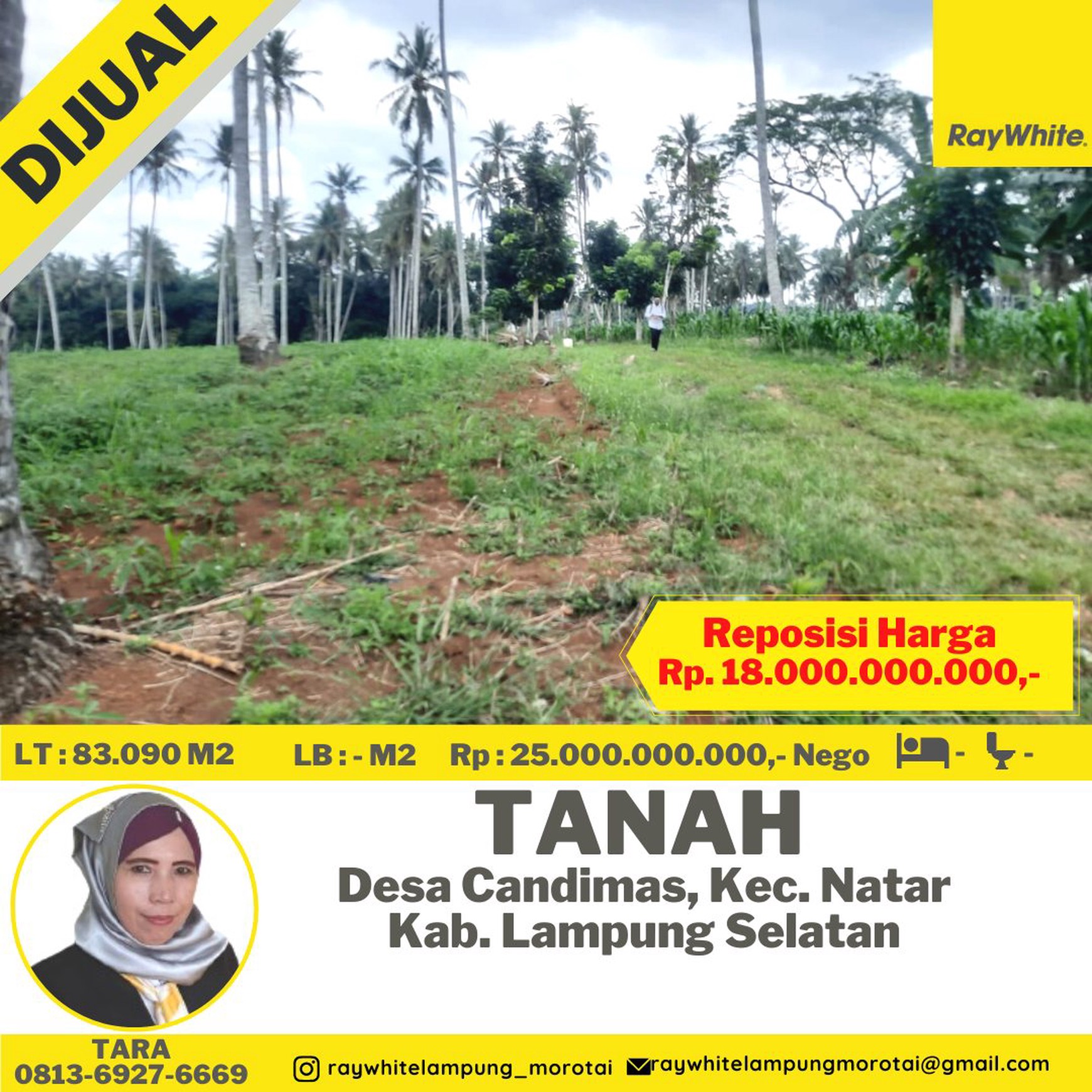 dijual tanah murah natar