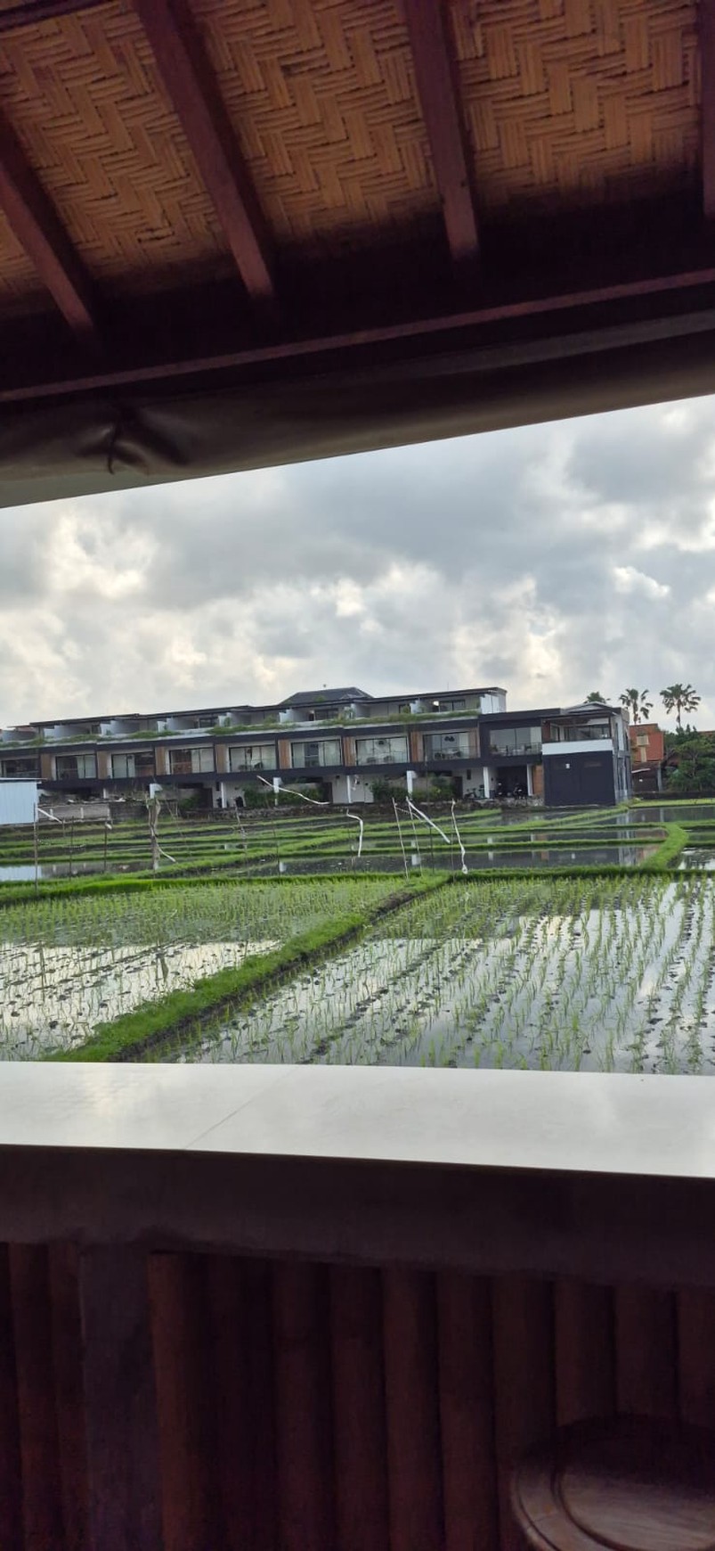 Rental - Natural villa rent with the rice field view in prime area Berawa, Canggu, Bali!