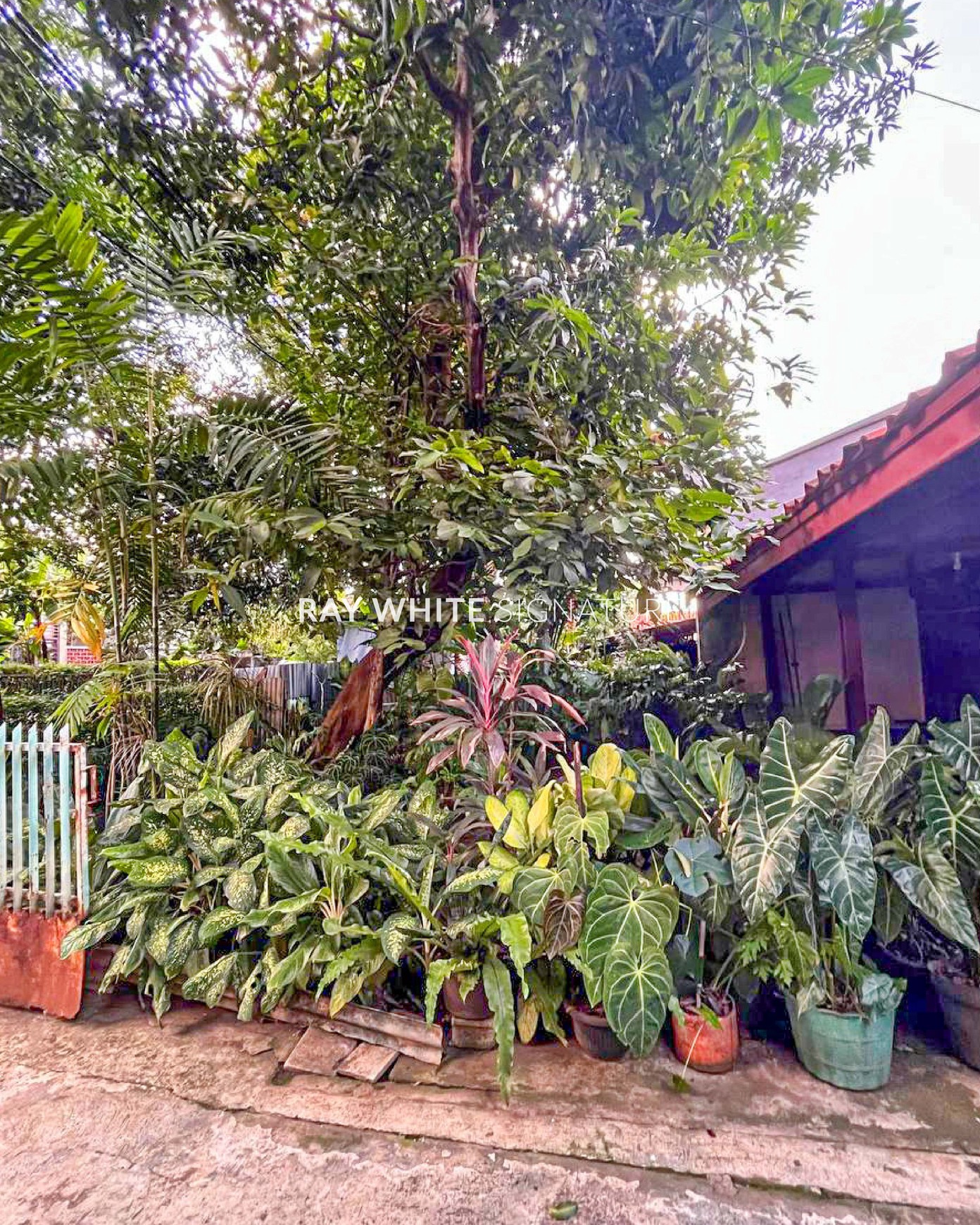 Dijual Rumah Klasik yang Tenang dan Asri di Cilandak