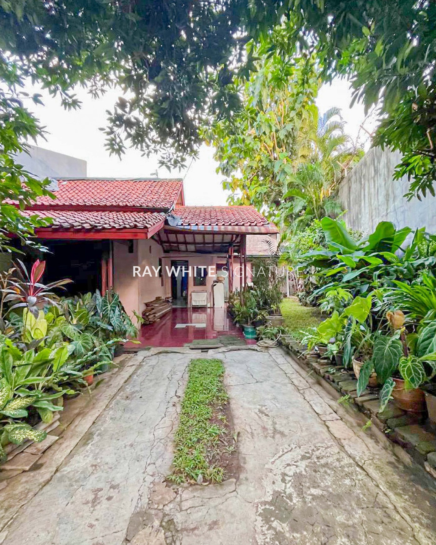 Dijual Rumah Klasik yang Tenang dan Asri di Cilandak