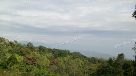 Land for sale ocean view in Lovina area