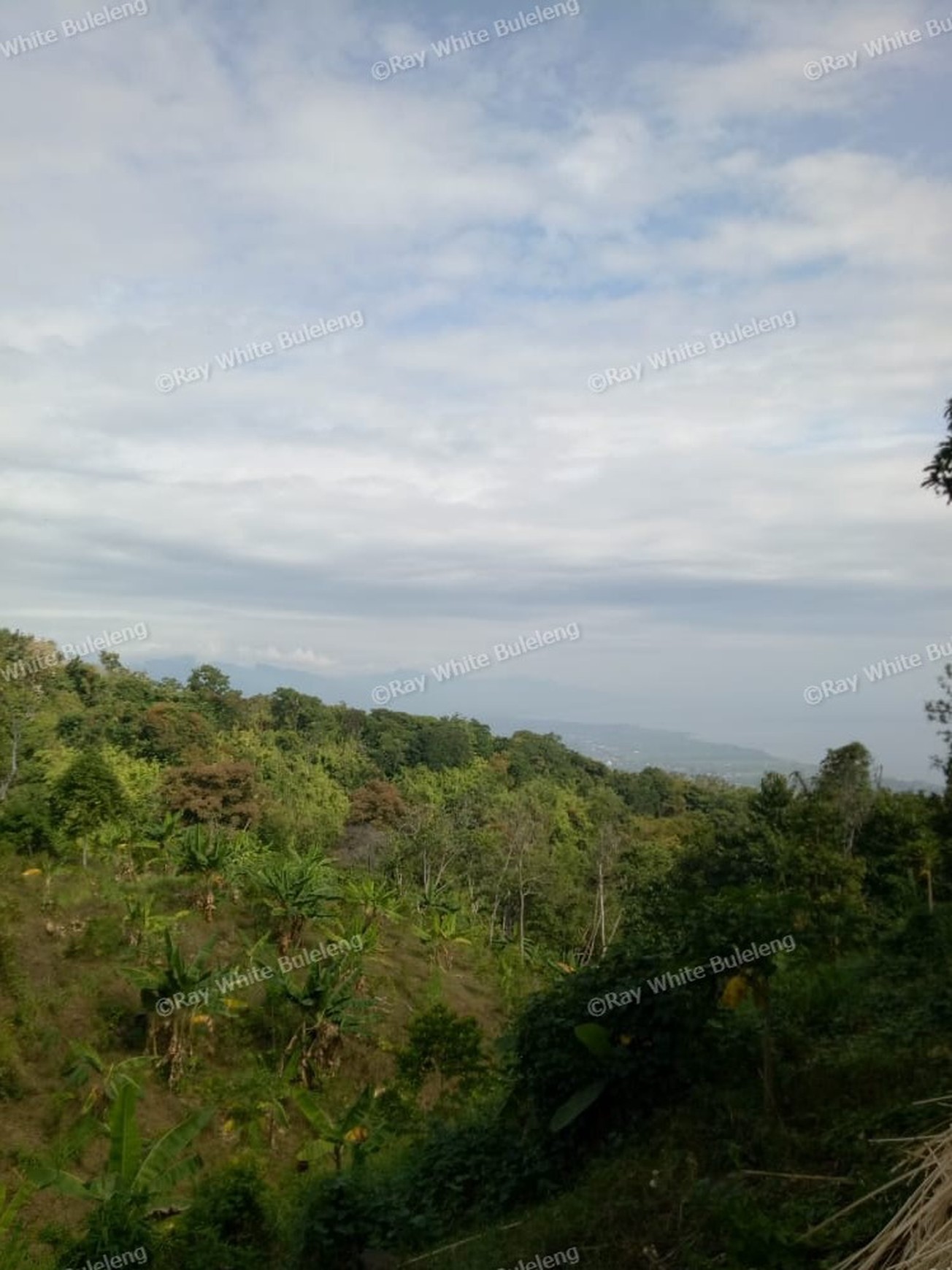 Land for sale ocean view in Lovina area