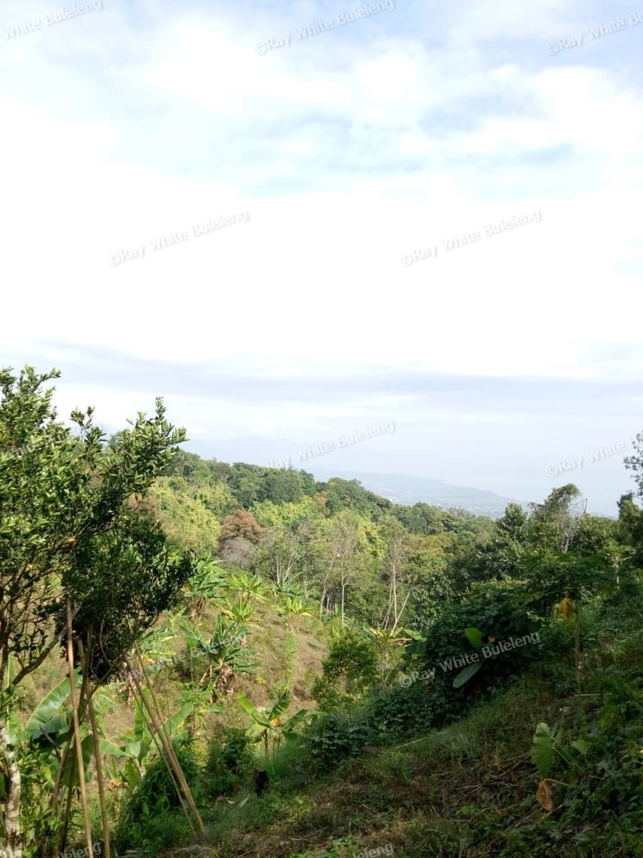 Land for sale ocean view in Lovina area