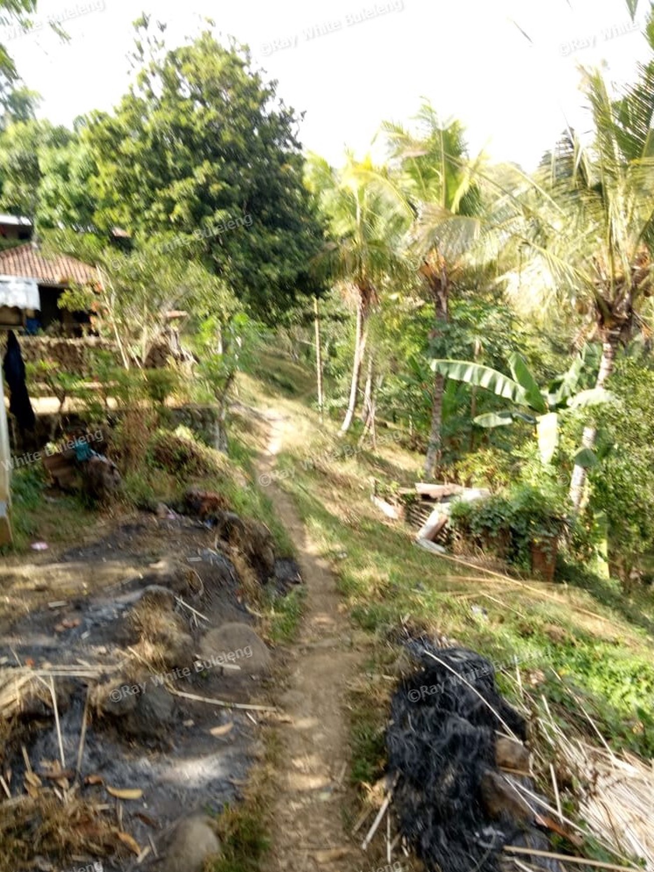 Land for sale ocean view in Lovina area