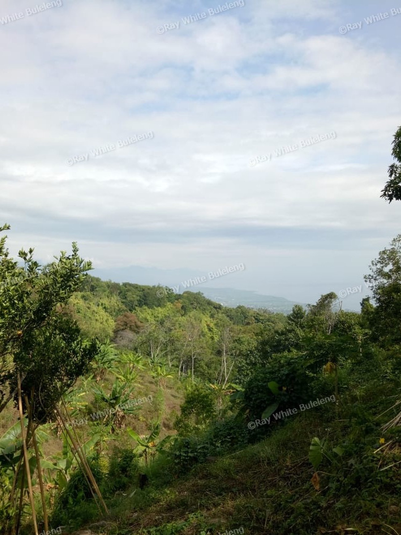 Land for sale ocean view in Lovina area