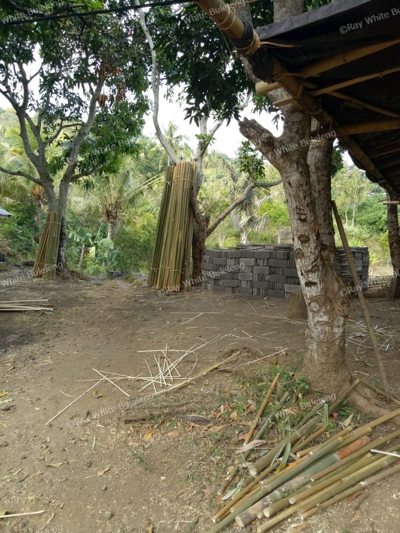 Land for sale ocean view in Lovina area