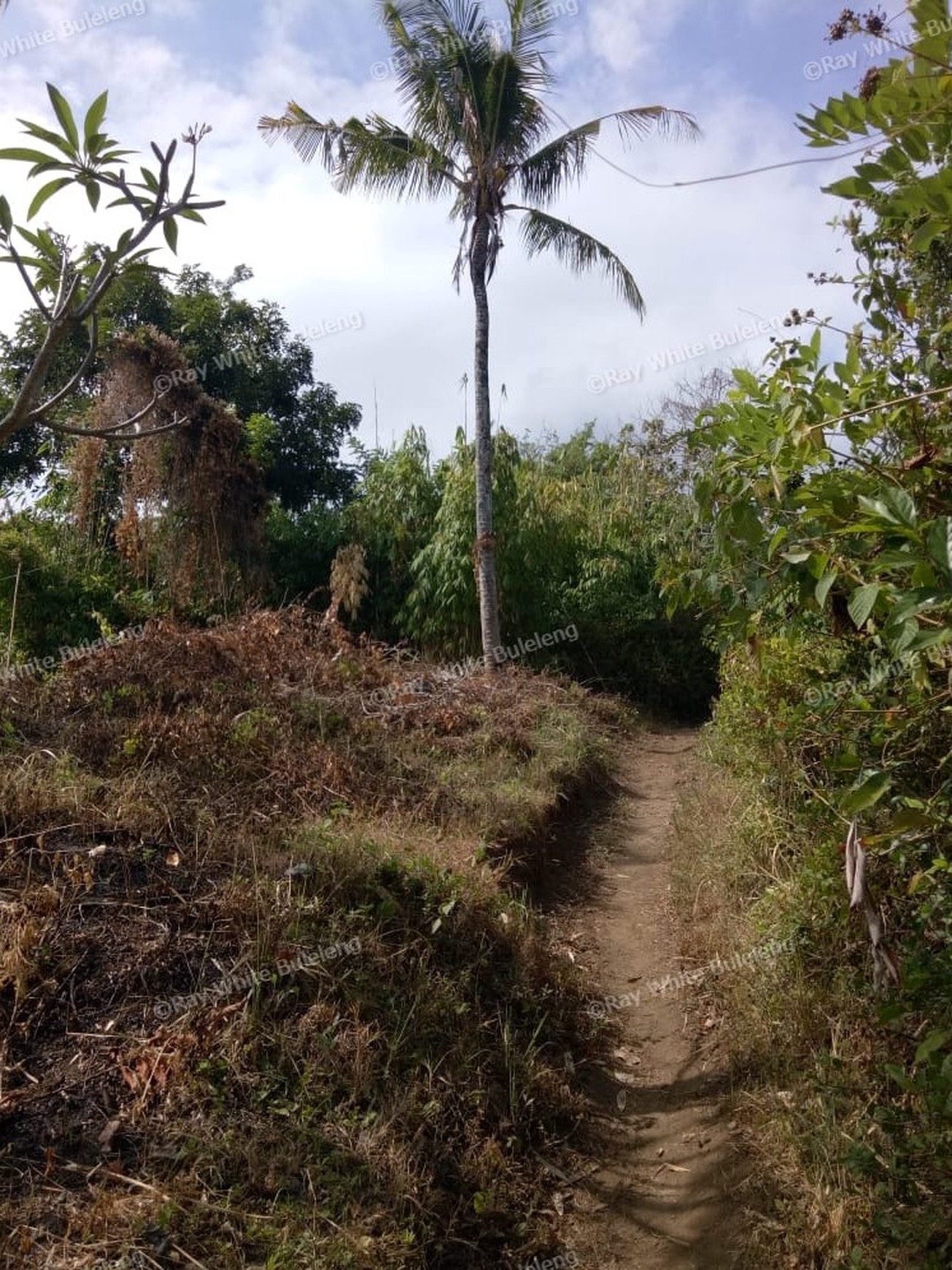 Land for sale ocean view in Lovina area