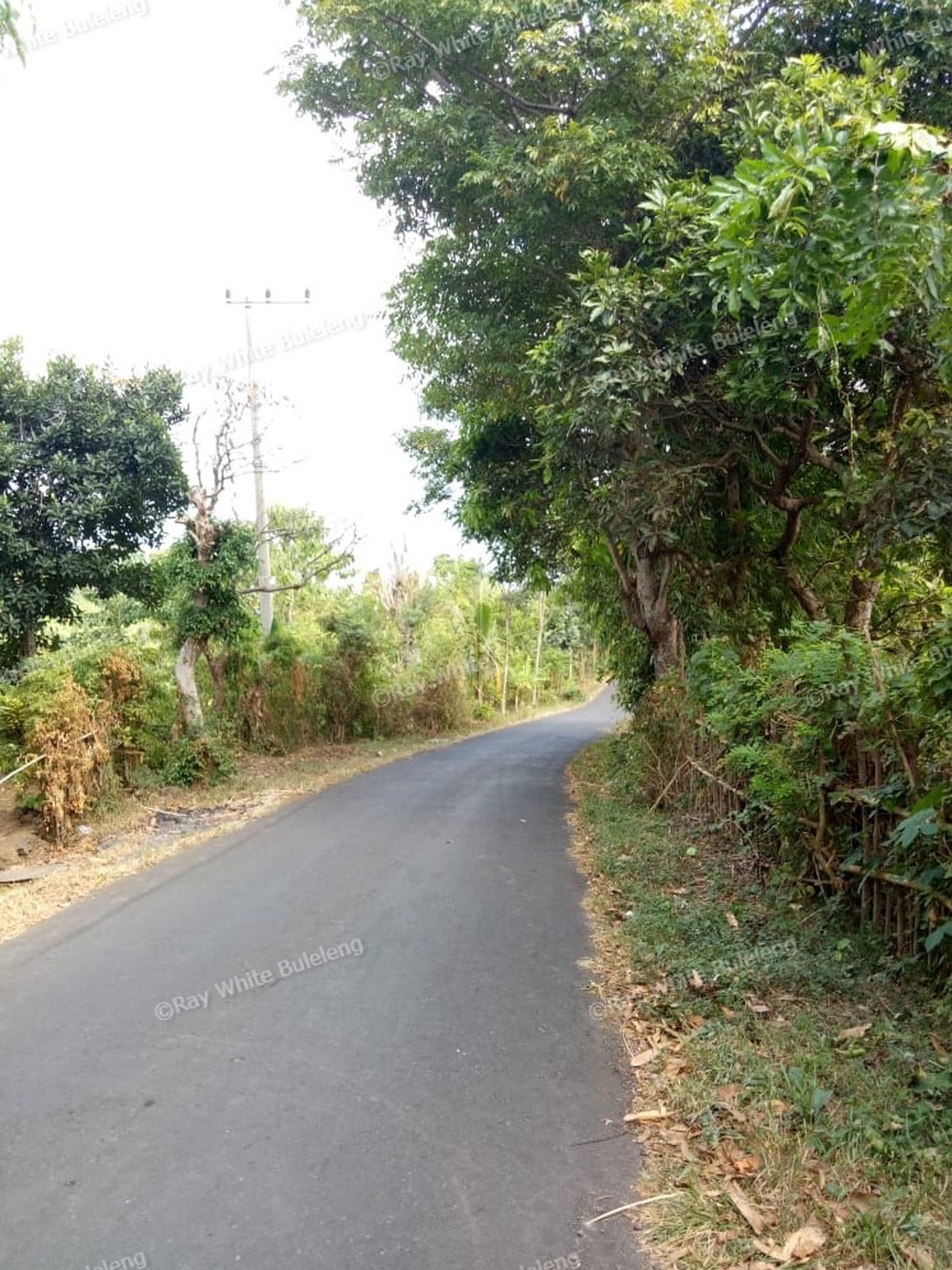 Land for sale ocean view in Lovina area
