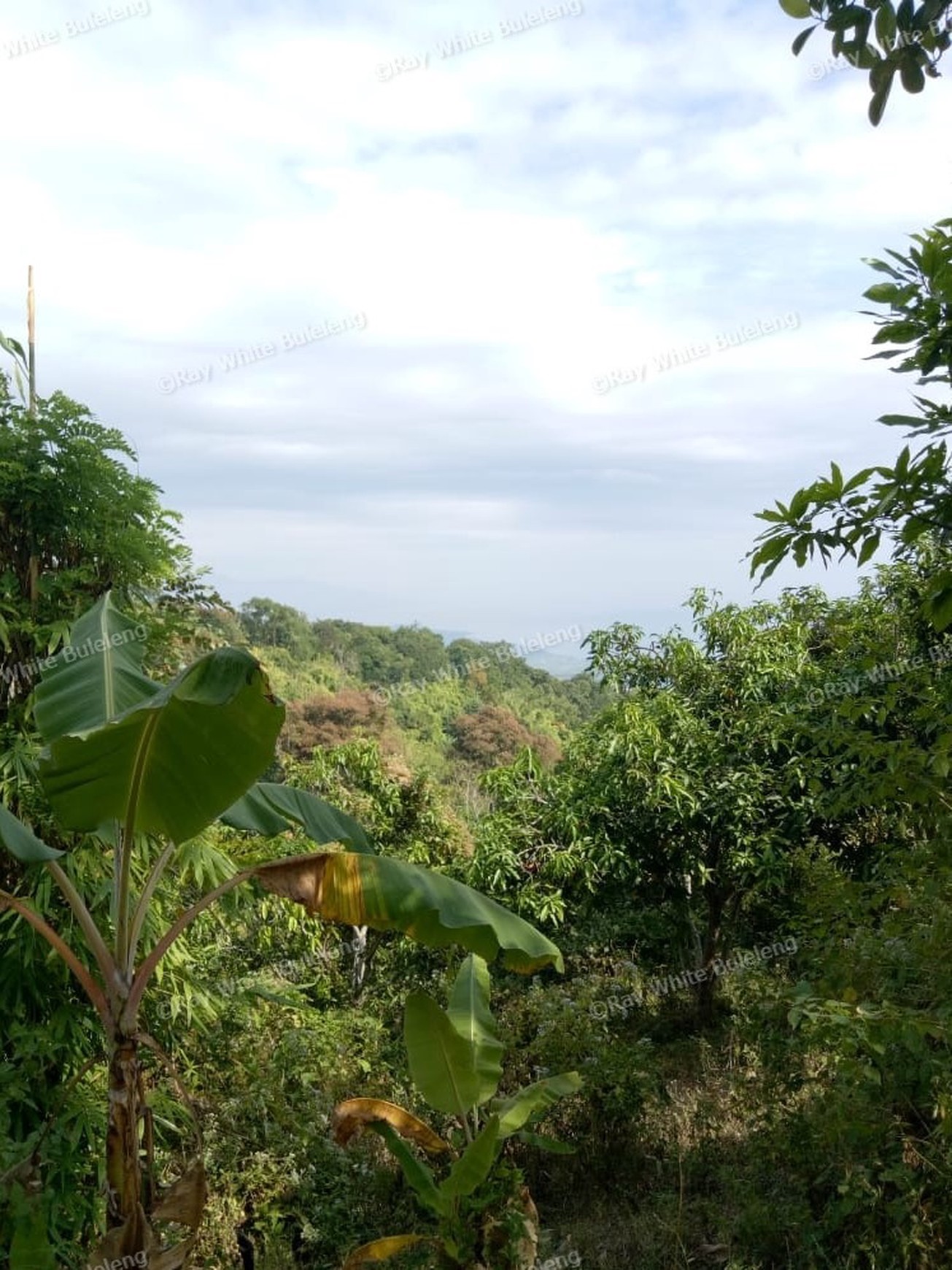 Land for sale ocean view in Lovina area