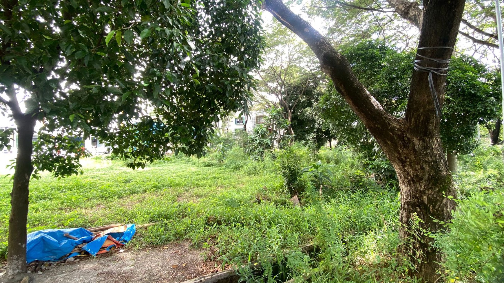 Lahan Komersil Di lokasi Strategis, Kawasan Apartemen Sentra Timur Residence Cakung, Dan hanya 2 Menit Ke Gerbang Tol Cakung