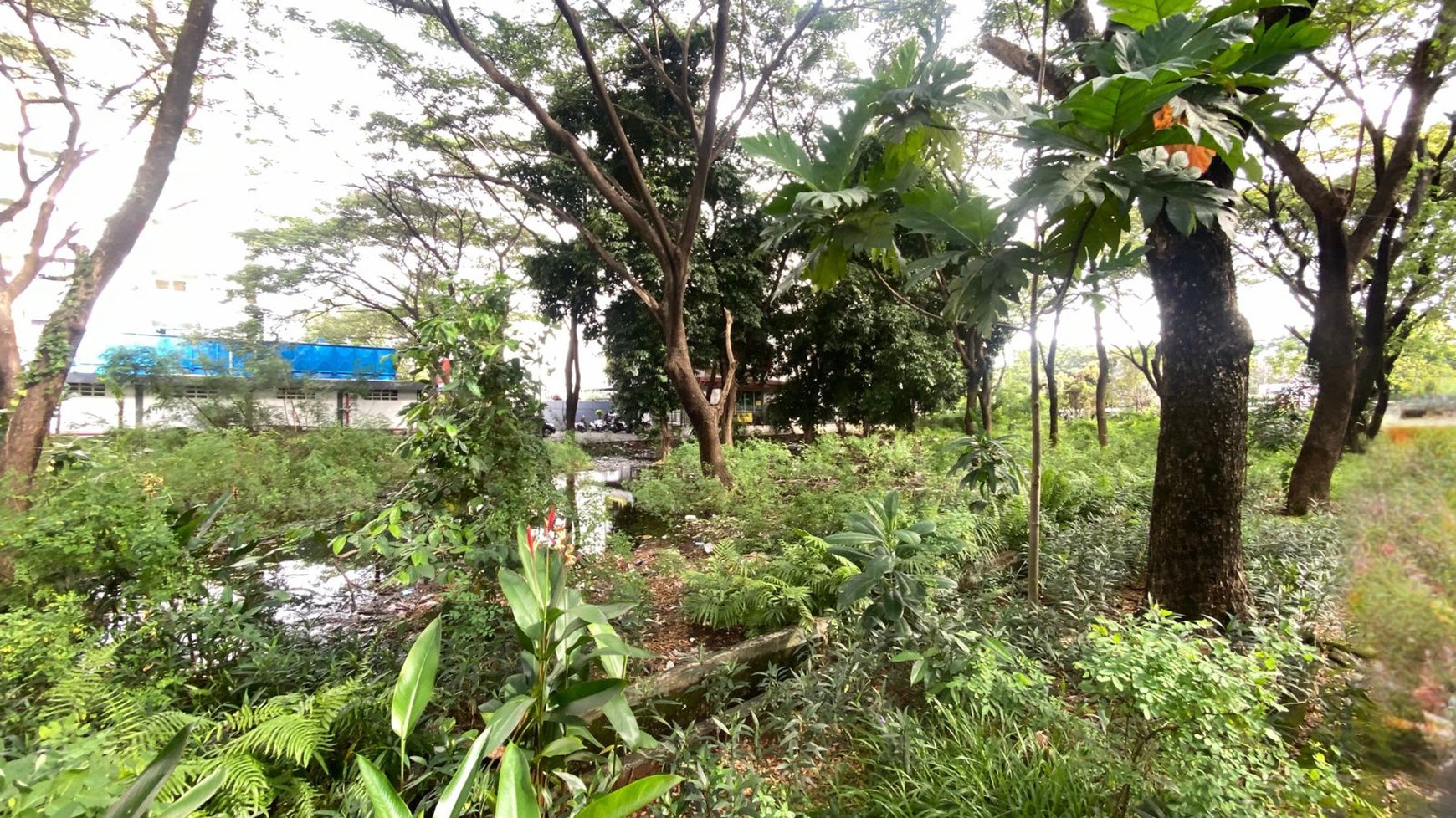 Lahan Komersil Di lokasi Strategis, Kawasan Apartemen Sentra Timur Residence Cakung, Dan hanya 2 Menit Ke Gerbang Tol Cakung