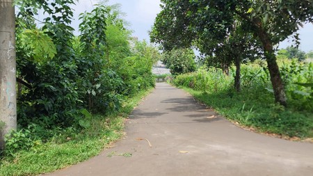 Kavling Siap Bangun Di Kp Muara Barokah, Karihkil, Ciseeng Bogor