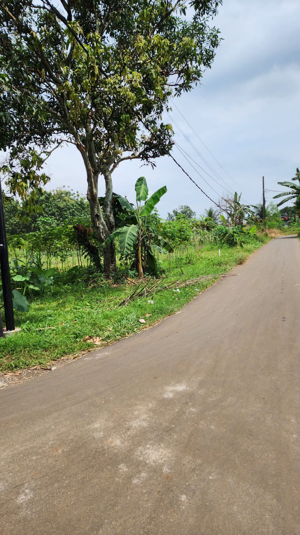 Kavling Siap Bangun Di Kp Muara Barokah, Karihkil, Ciseeng Bogor