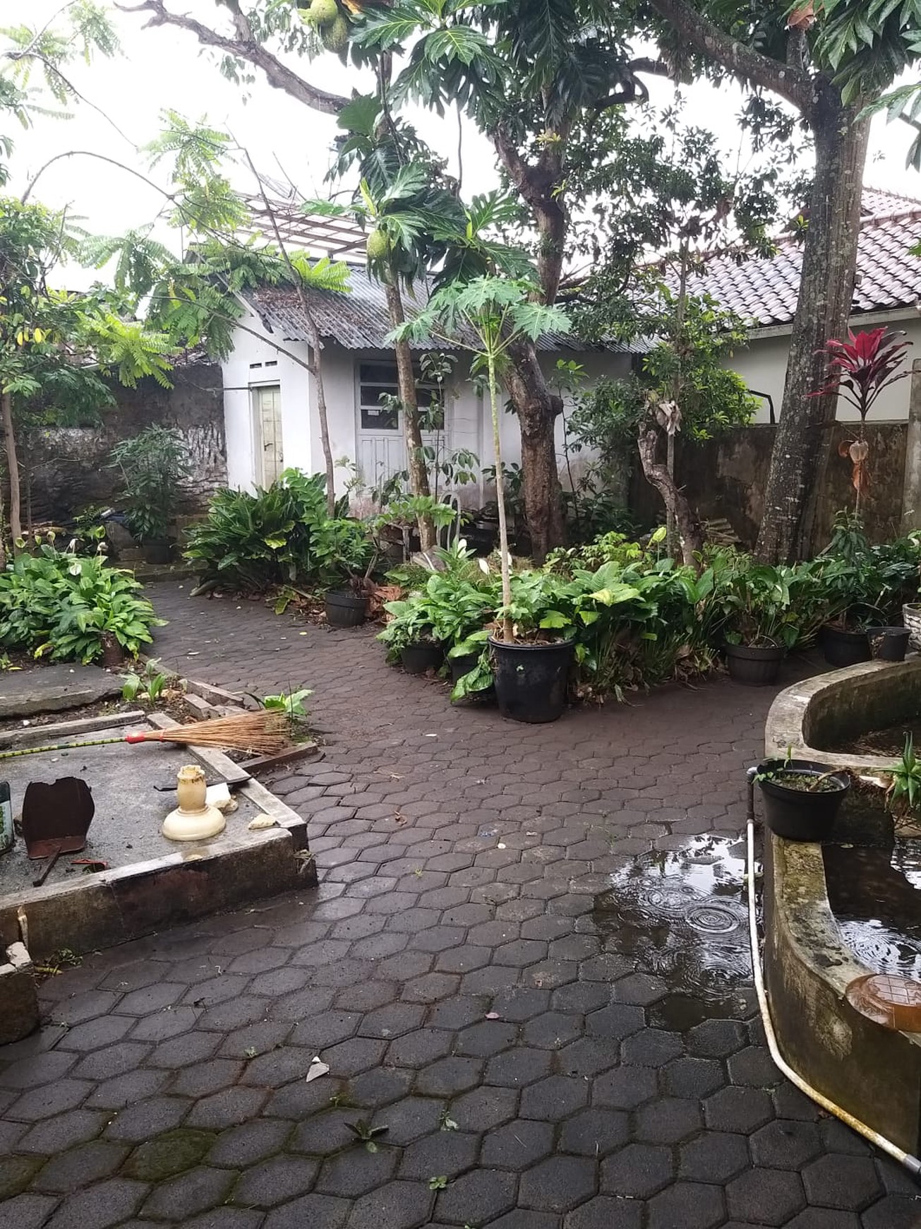 Rumah Tinggal dengan Luas Tanah 990 Meter Persegi Lokasi Kota Magelang 