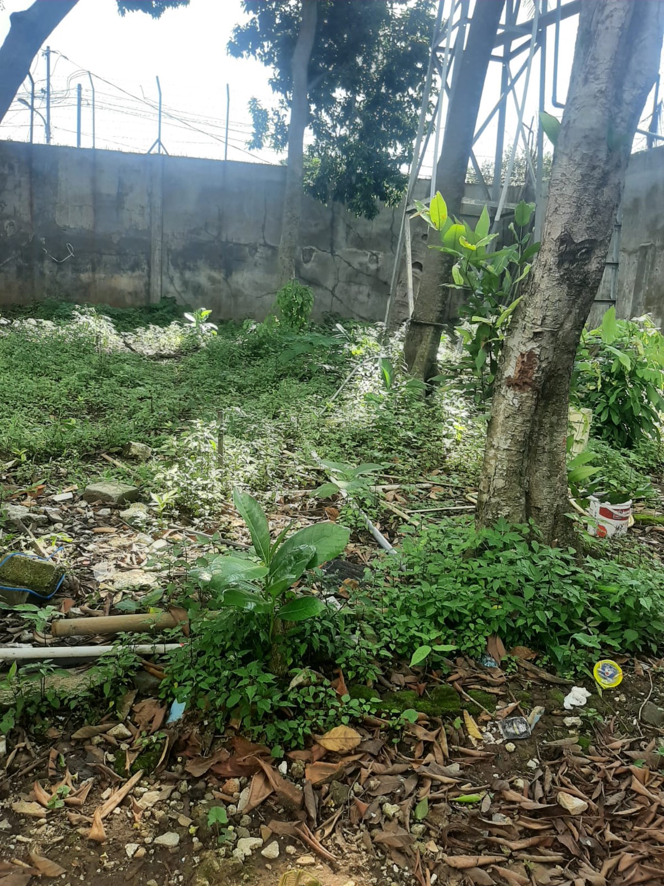 Kavling & Bangunan, lokasi di Jalan Utama di Ciputat