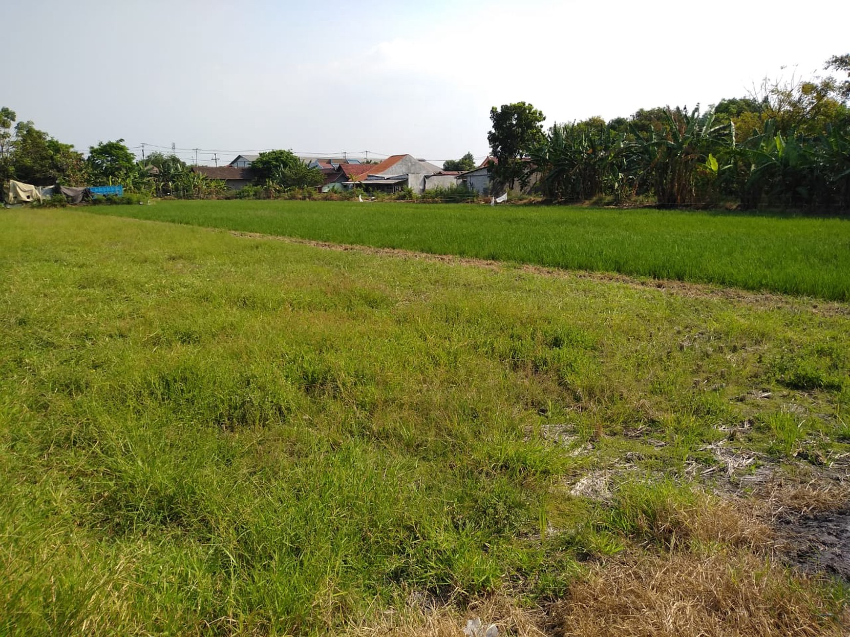 Jual Tanah Buduran-Sidoarjo