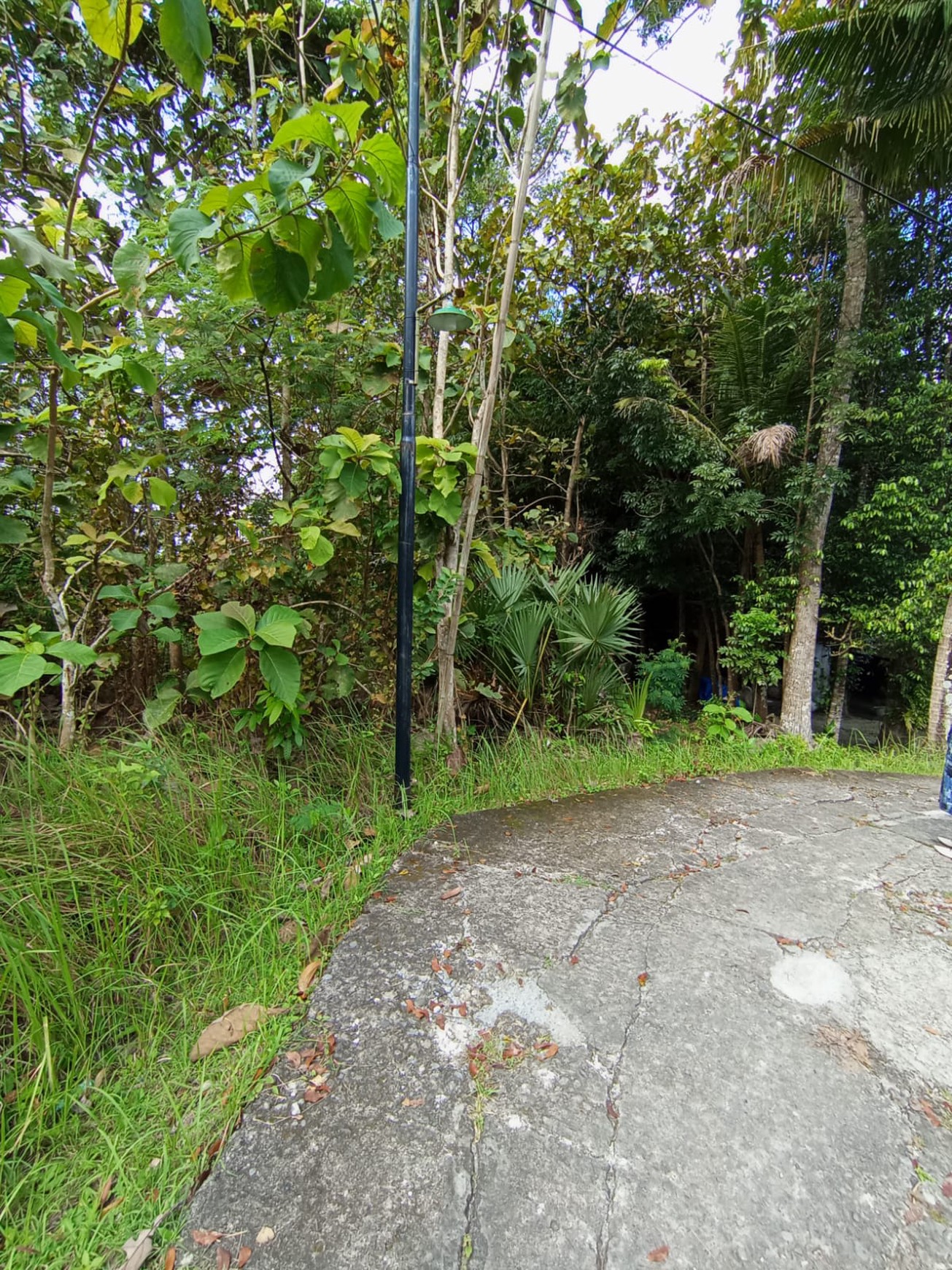 Tanah 2.434 Meter Persegi Di Bangunjiwo Kasihan Bantul