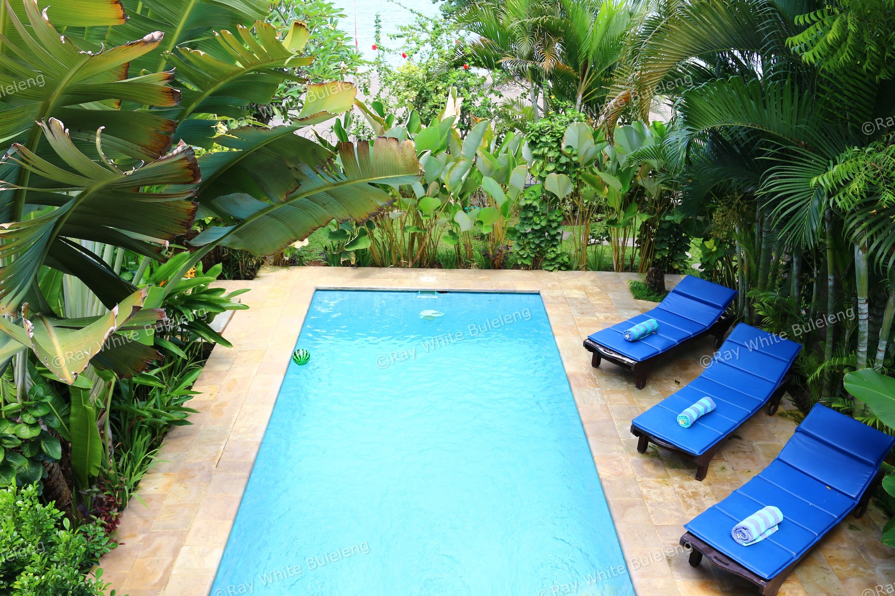 ABSOLUTE BEACHFRONT VILLA COMPLEX IN LOVINA