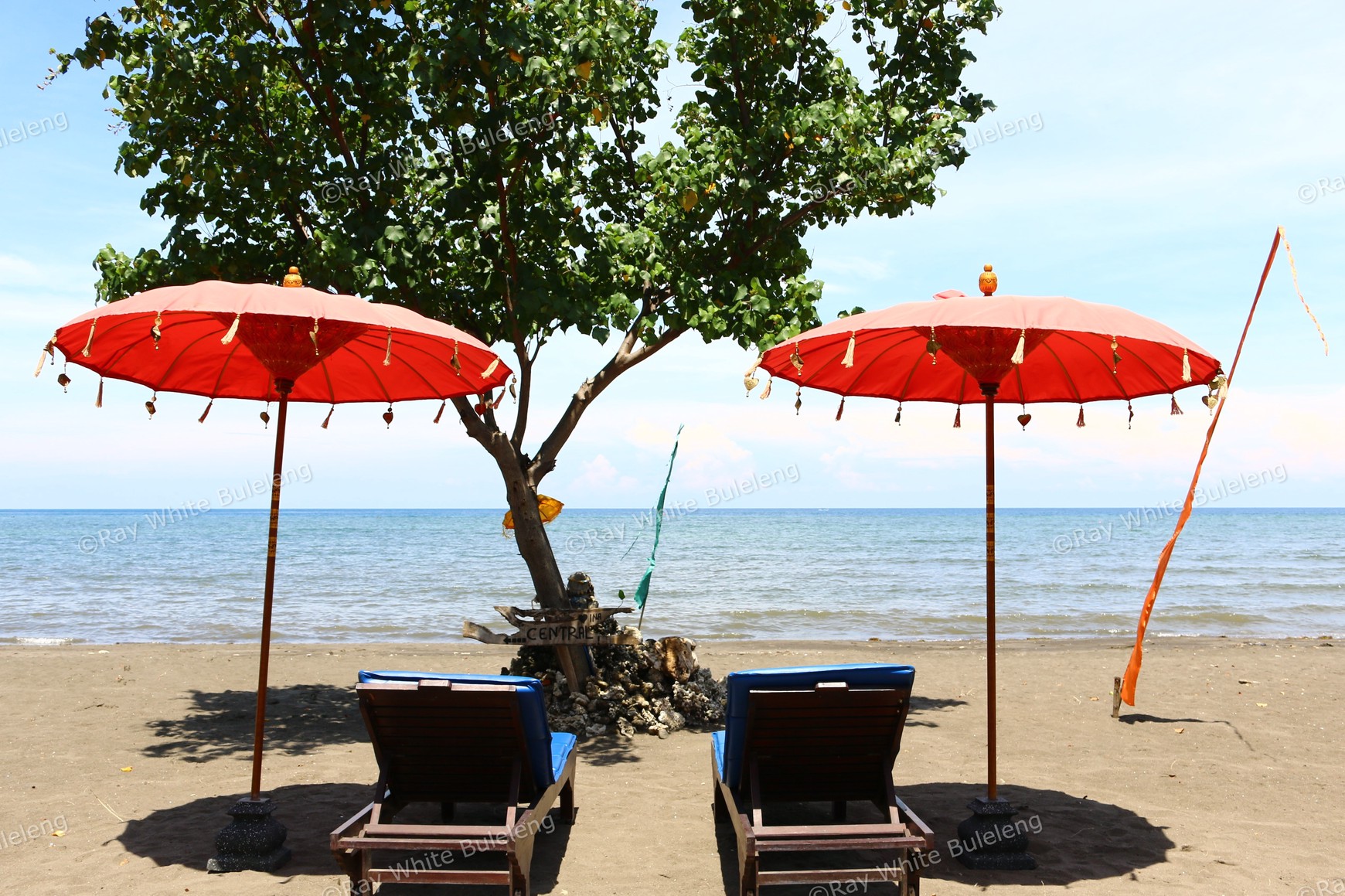 ABSOLUTE BEACHFRONT VILLA COMPLEX IN LOVINA