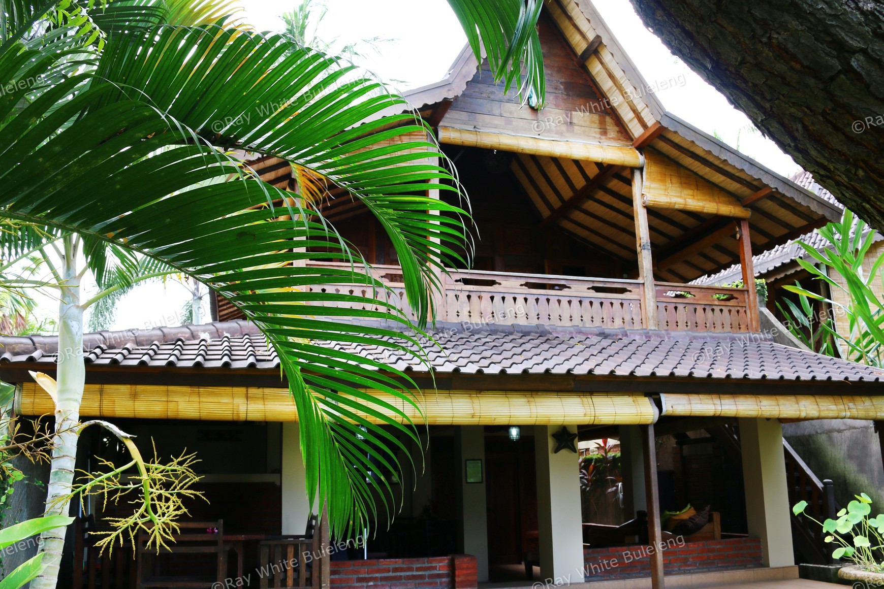 ABSOLUTE BEACHFRONT VILLA COMPLEX IN LOVINA