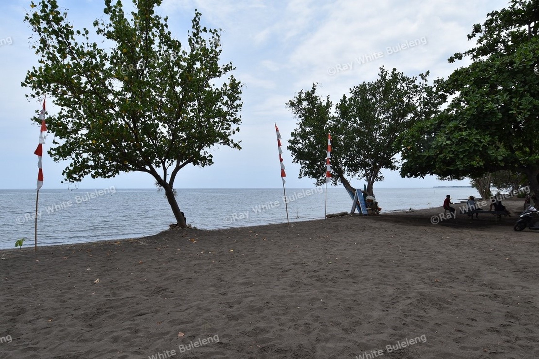 ABSOLUTE BEACHFRONT VILLA COMPLEX IN LOVINA