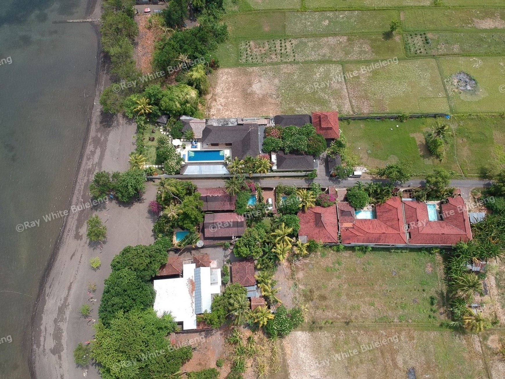ABSOLUTE BEACHFRONT VILLA COMPLEX IN LOVINA
