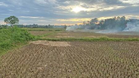 Tanah Padat Sawah di Babat, Legok Tangerang