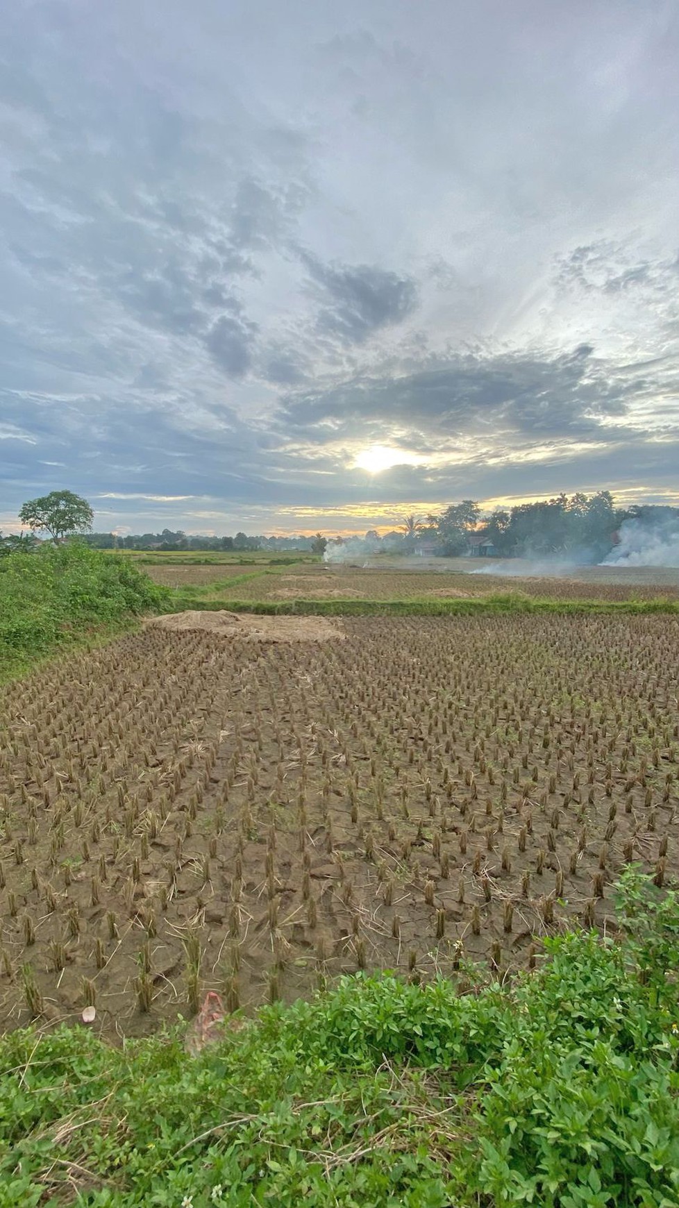 Tanah Padat Sawah di Babat, Legok Tangerang