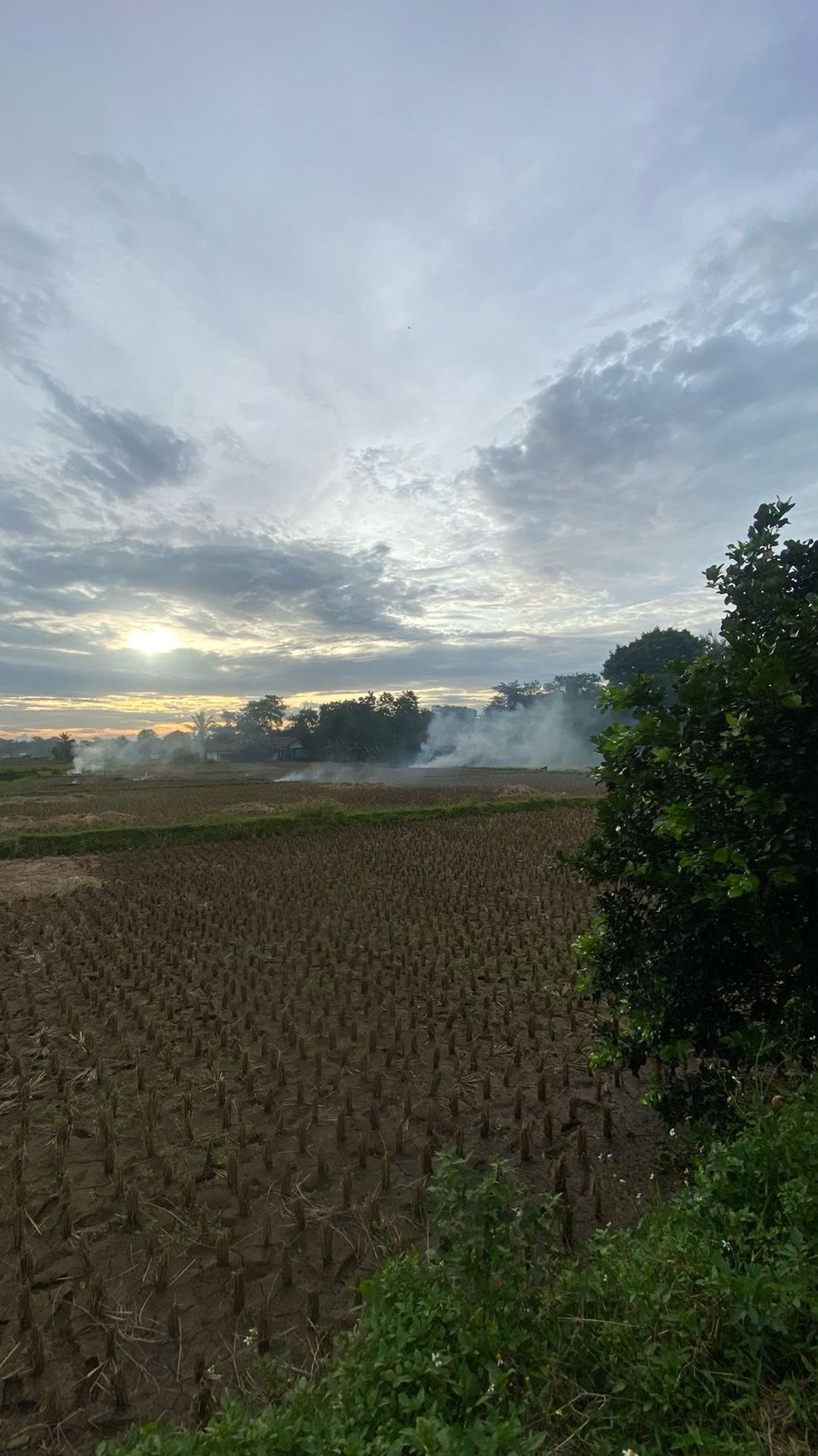 Tanah Padat Sawah di Babat, Legok Tangerang