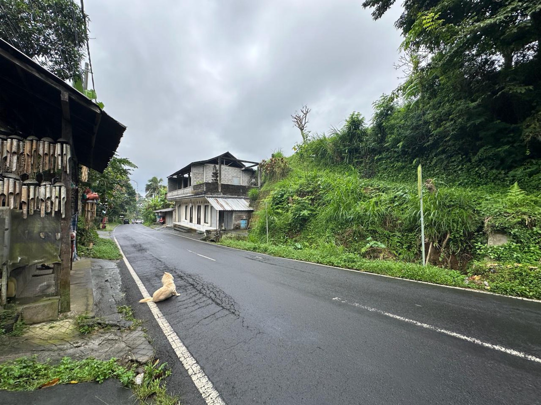 Prime Land with Scenic Rice Fields & Mountain Views in Tegalalang, Gianyar