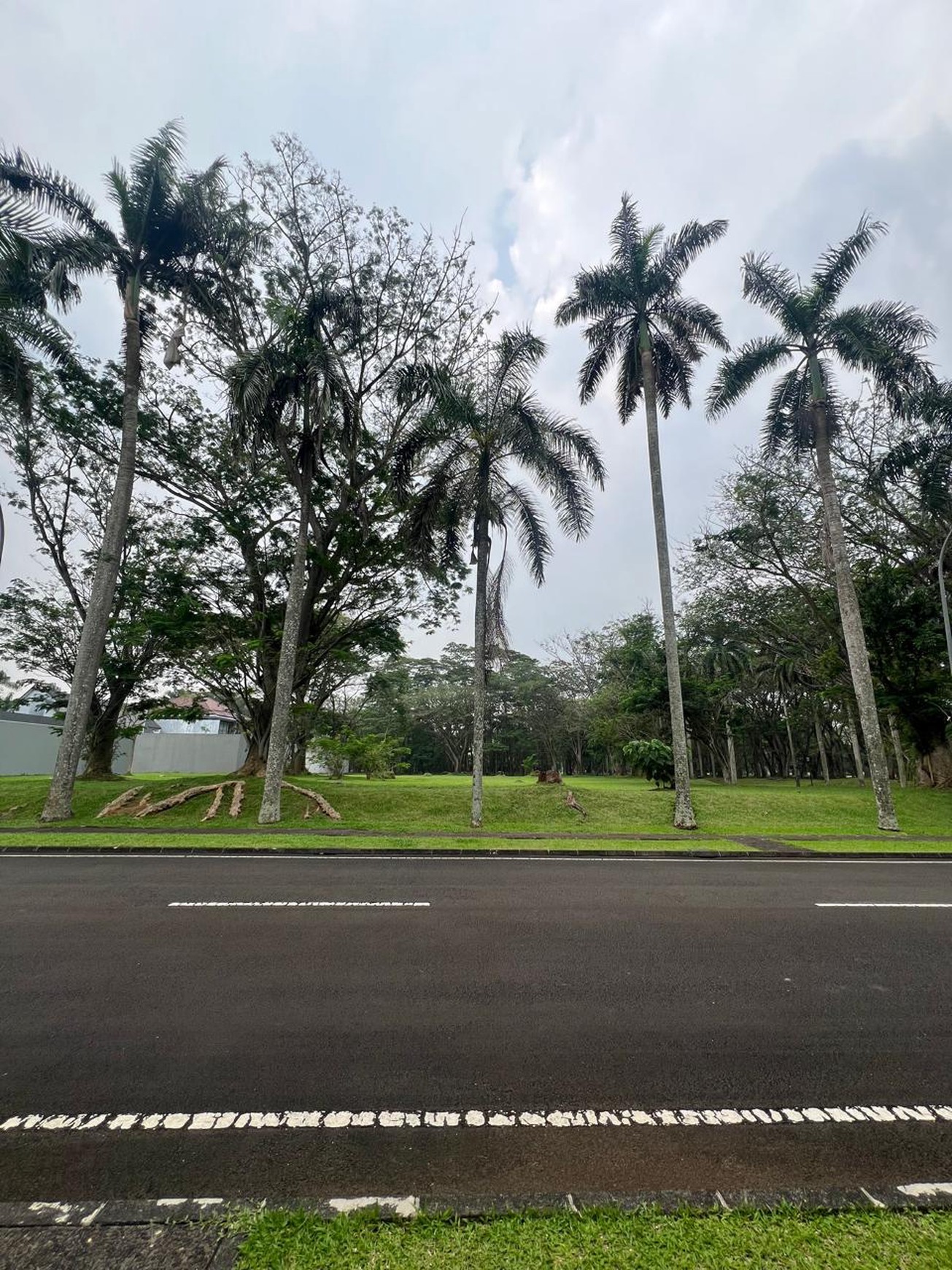 Kavling Badan Siap Bangun di Bukit Golf BSD Dekat Sekolah