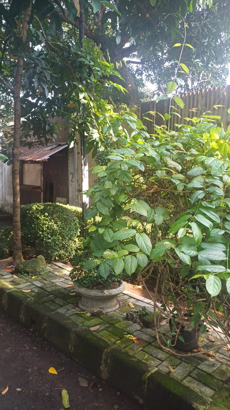 Kavling Luas Siap Bangun Lokasi Kota Sangat Strategis @Kebayoran Lama, Jakarta Selatan