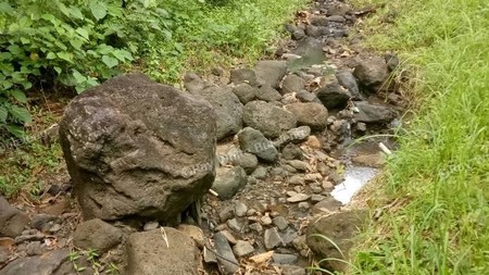 400 M2 SUPER CHEAP LAND FOR SALE IN LOVINA