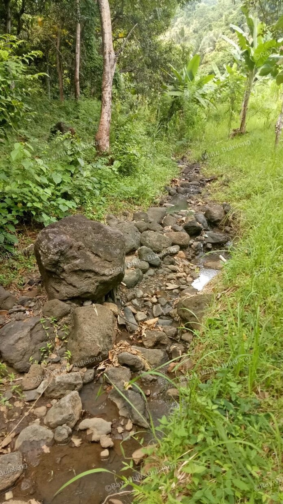 400 M2 SUPER CHEAP LAND FOR SALE IN LOVINA