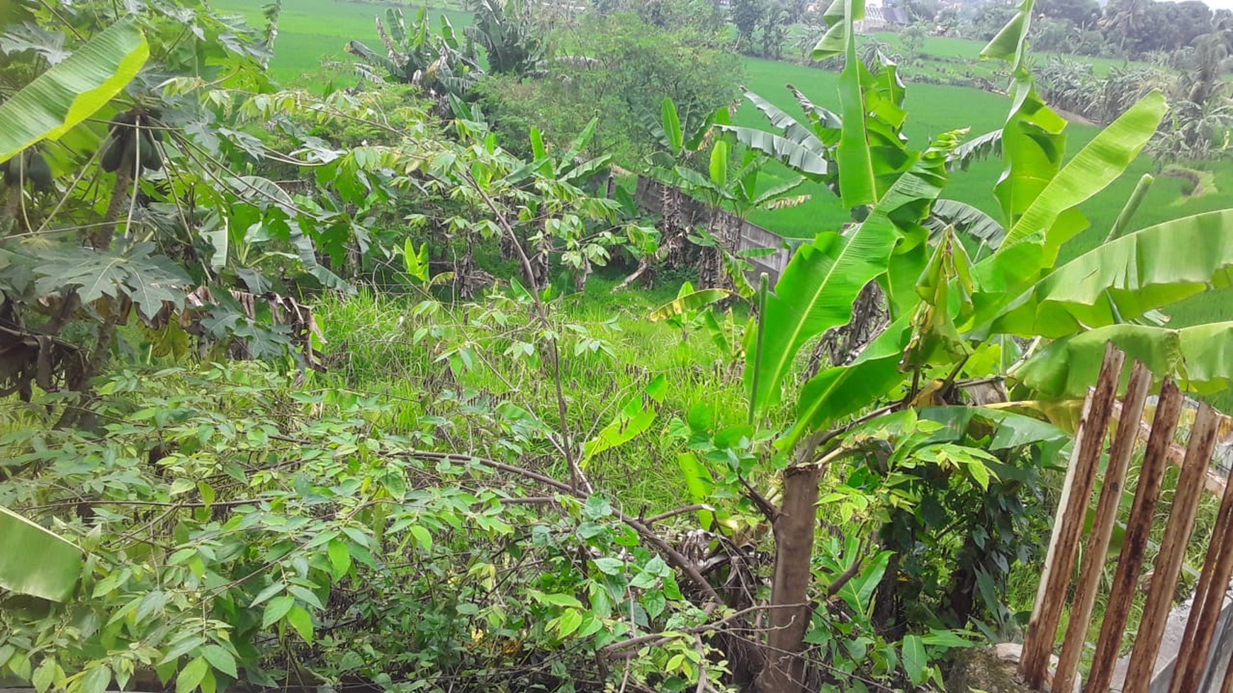 SEBIDANG TANAH DI CIHUNI, PURWAKARTA