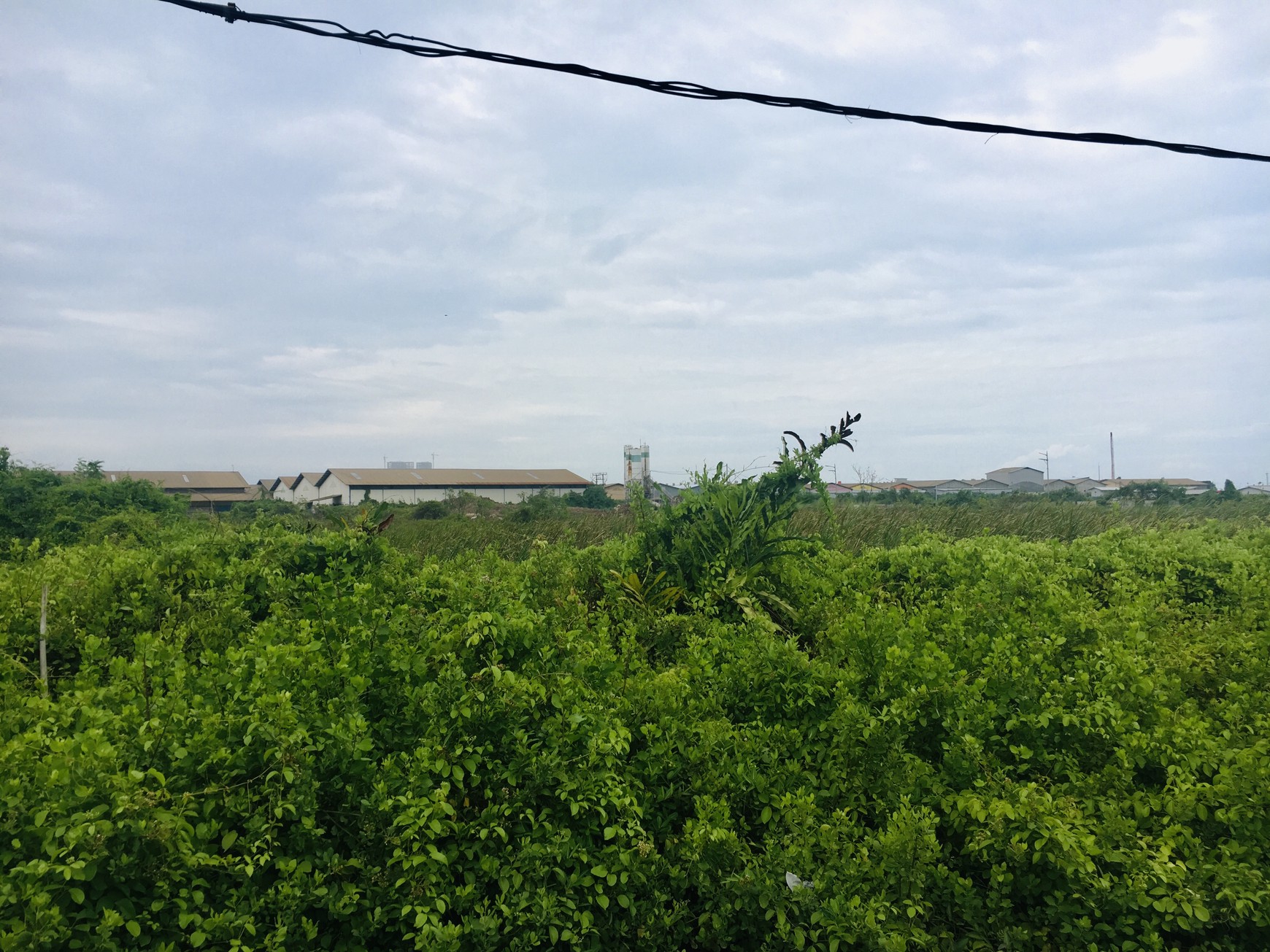 DIJUAL SEBIDANG TANAH DI DADAP
