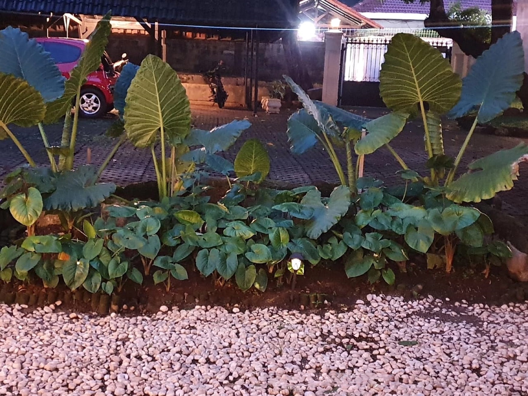 Rumah Lokasi Strategis Pinggir Jalan dan Cocok untuk Ruang Usaha @Jl Mampang Prapatan.