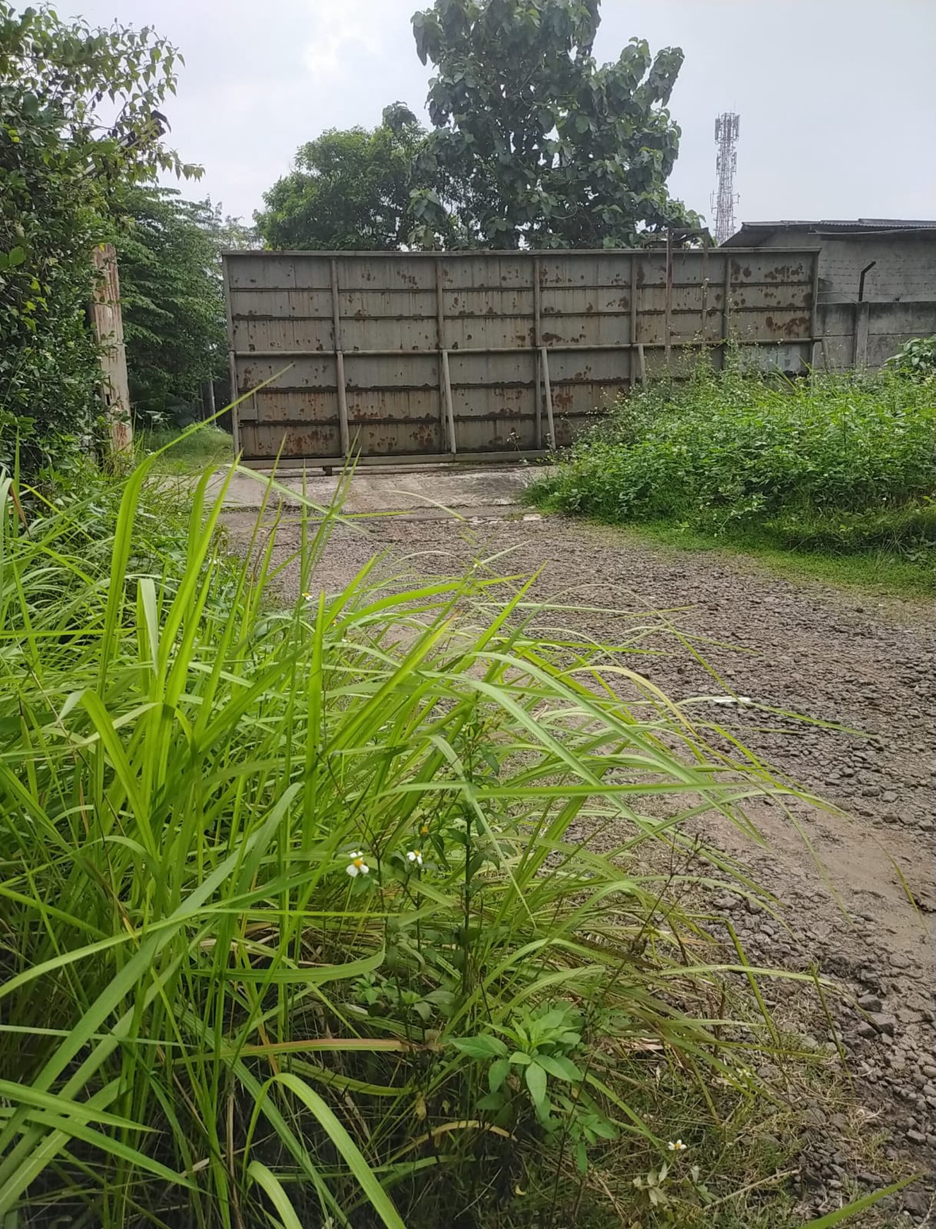 Dijual tanah di cikupa
