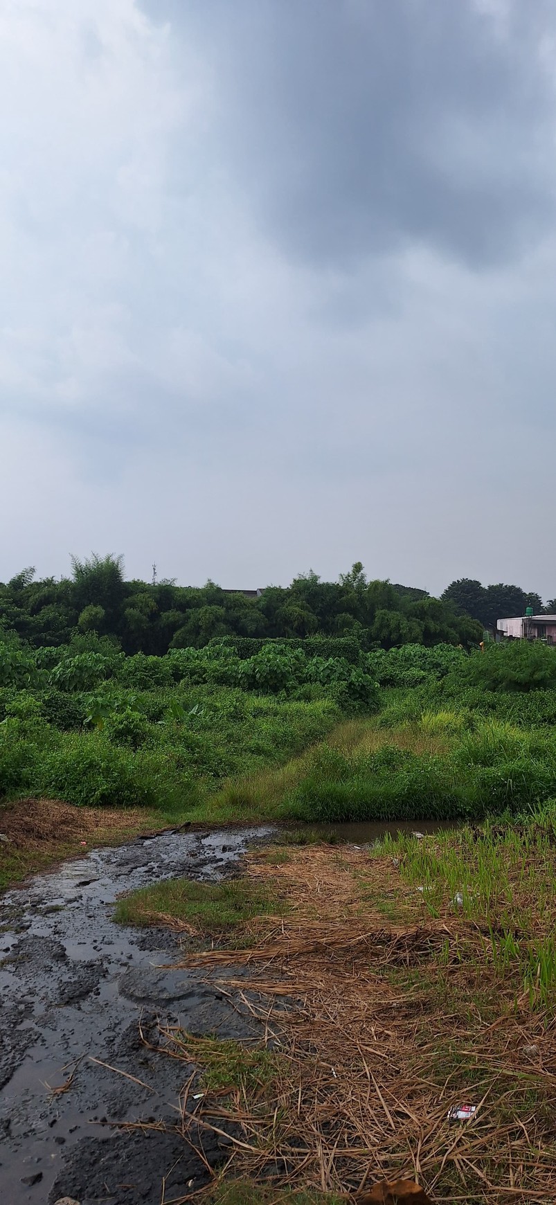 Dijual tanah di cikupa