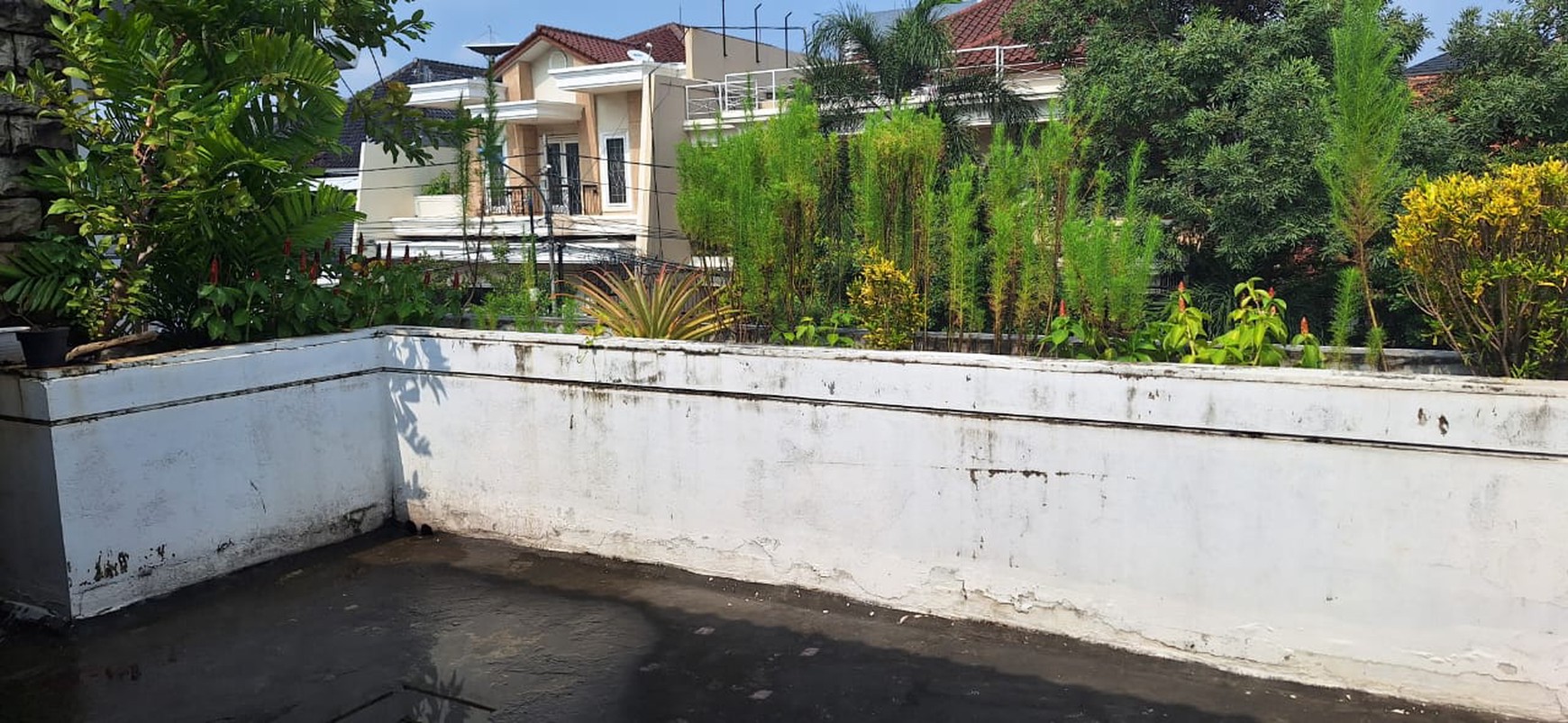 Dijual rumah di jalan mangga