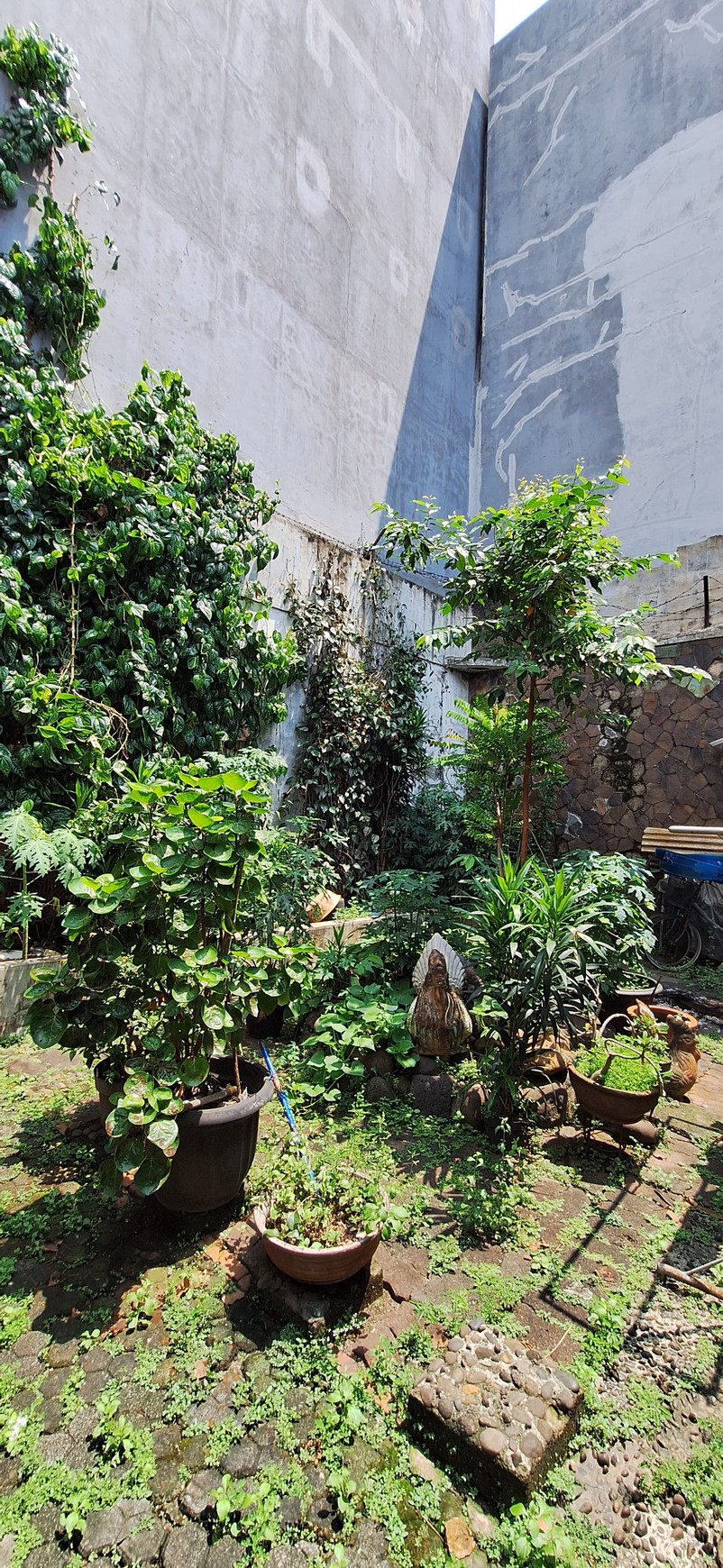 Dijual rumah di mandala raya