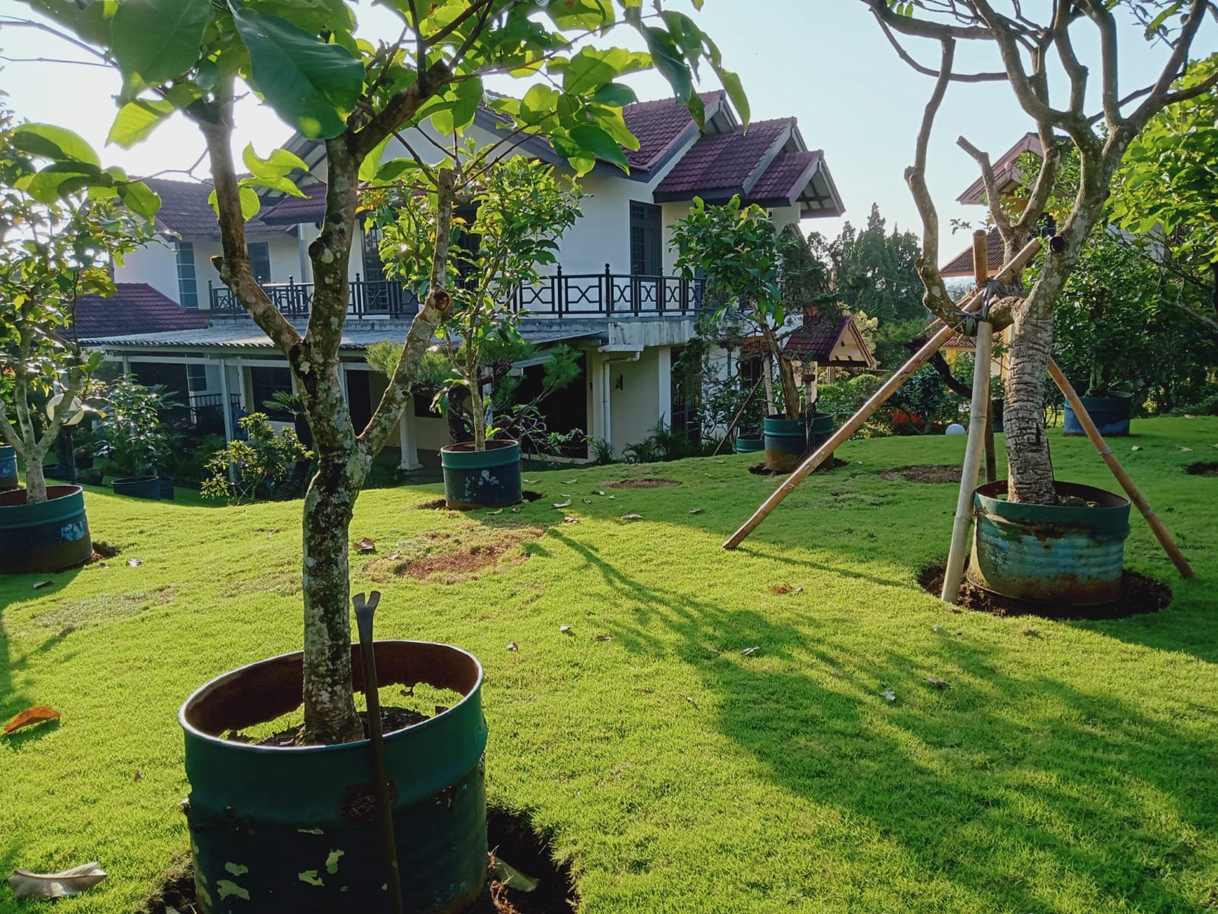 Dijual villa yasmin cipanas