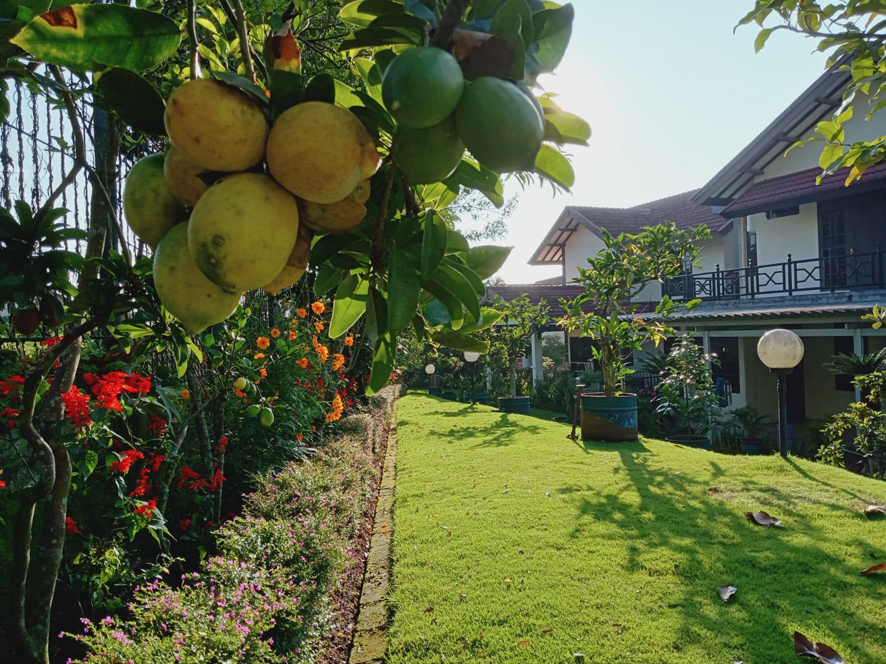 Dijual villa yasmin cipanas