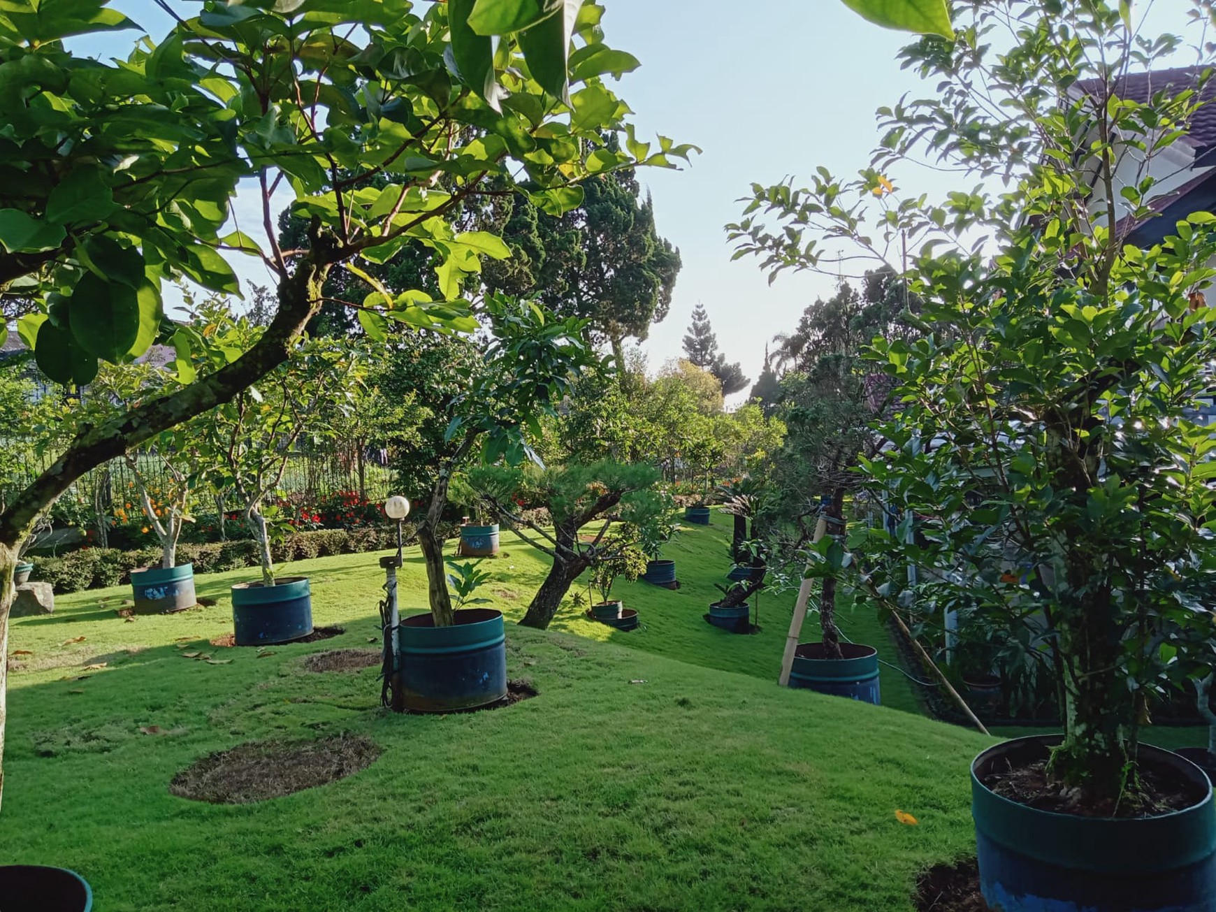 Dijual villa yasmin cipanas