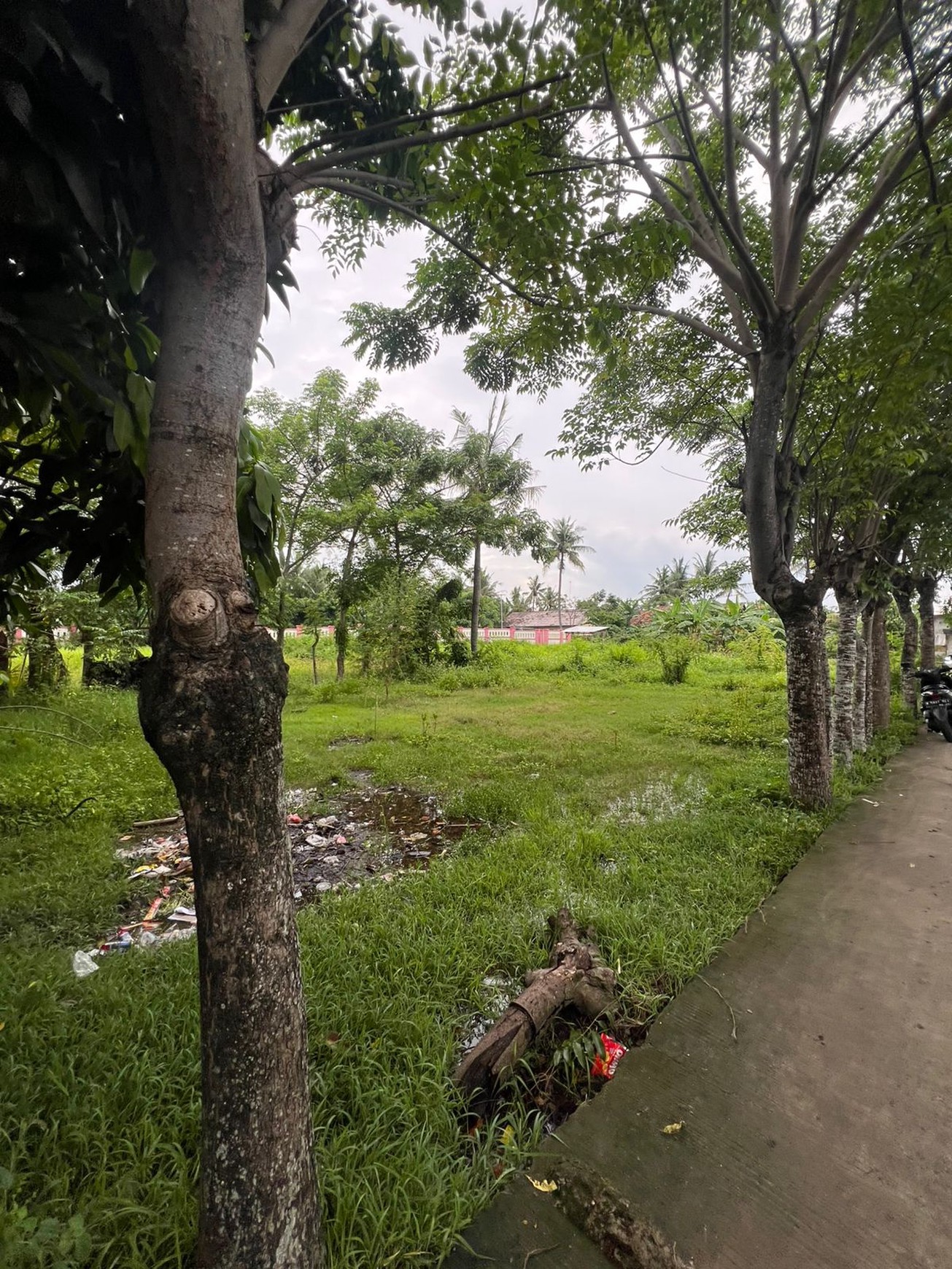 Dijual Tanah di Kp. Tempe Jatimulya