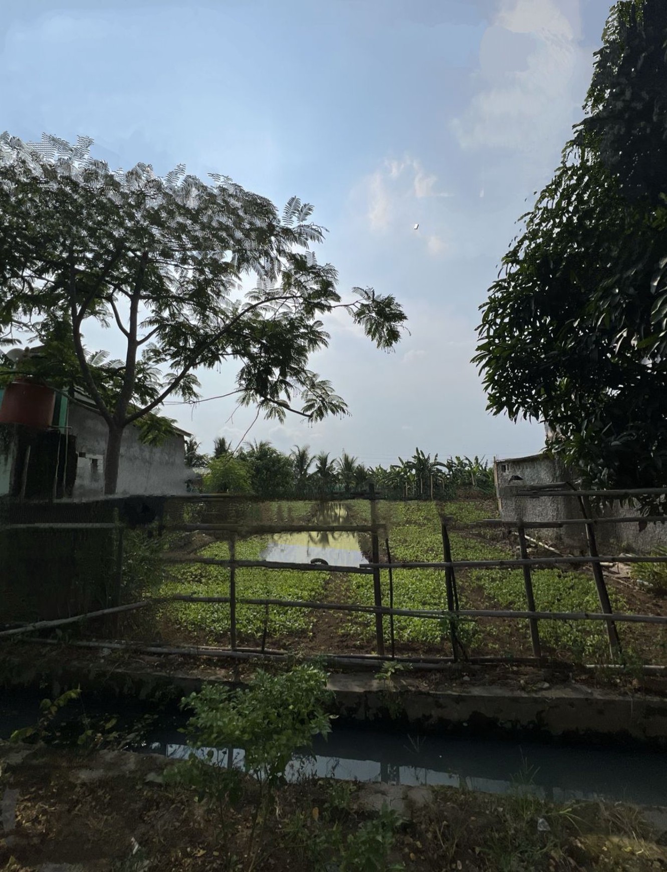 Dijual Murah Tanah di Kp Beduyut Sepatan